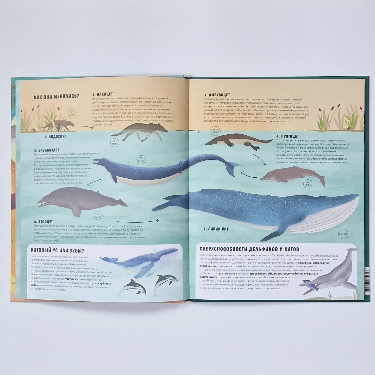 Эволюция. Как изменилась жизнь за миллиарды лет