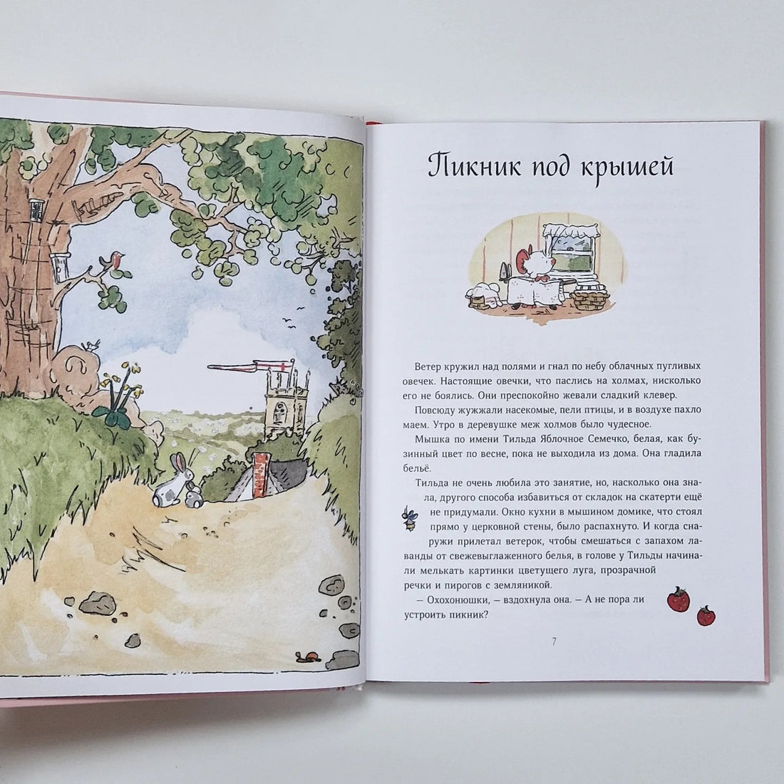 Тильда Яблочное Семечко. Весна, лето, осень и зима