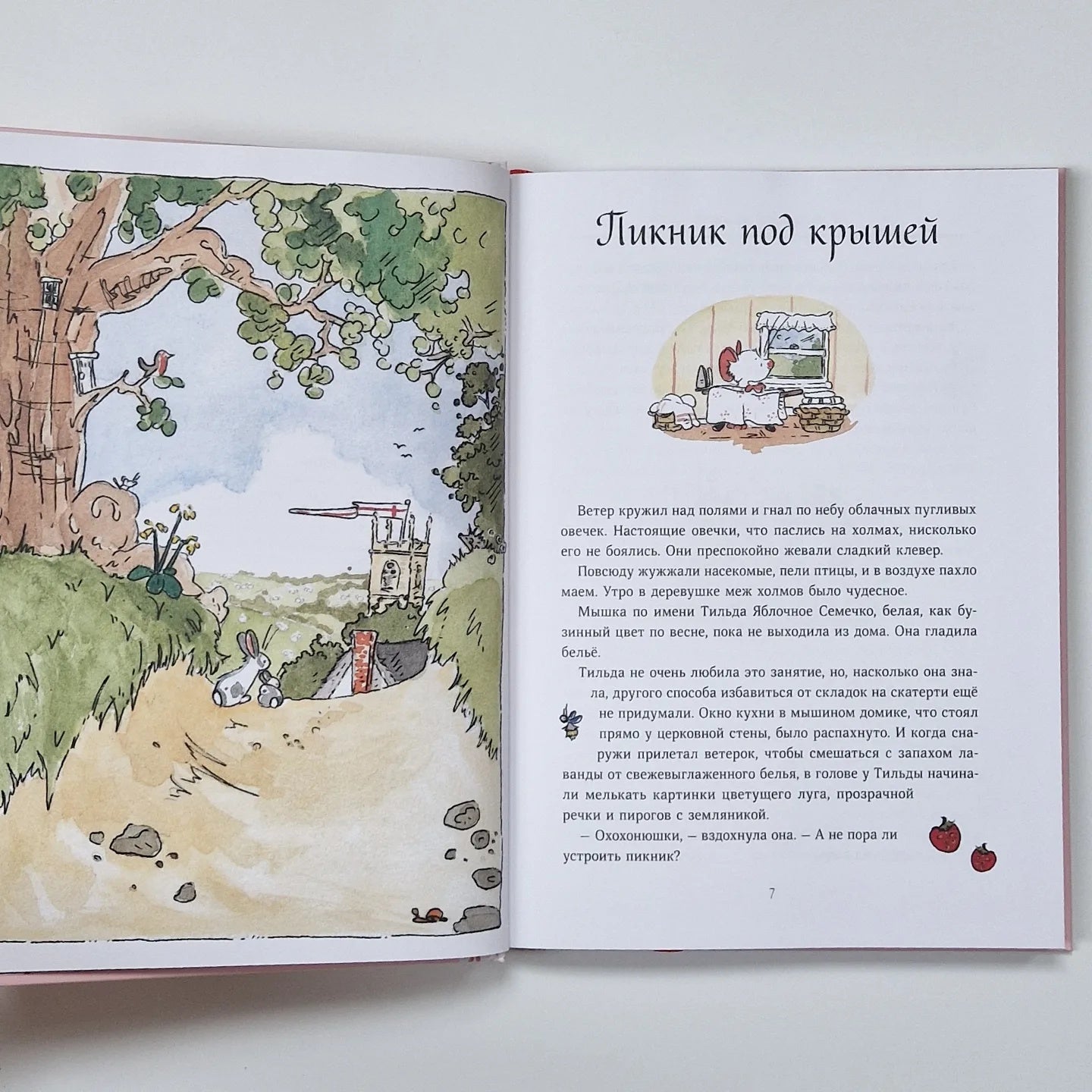 Тильда Яблочное Семечко. Весна, лето, осень и зима