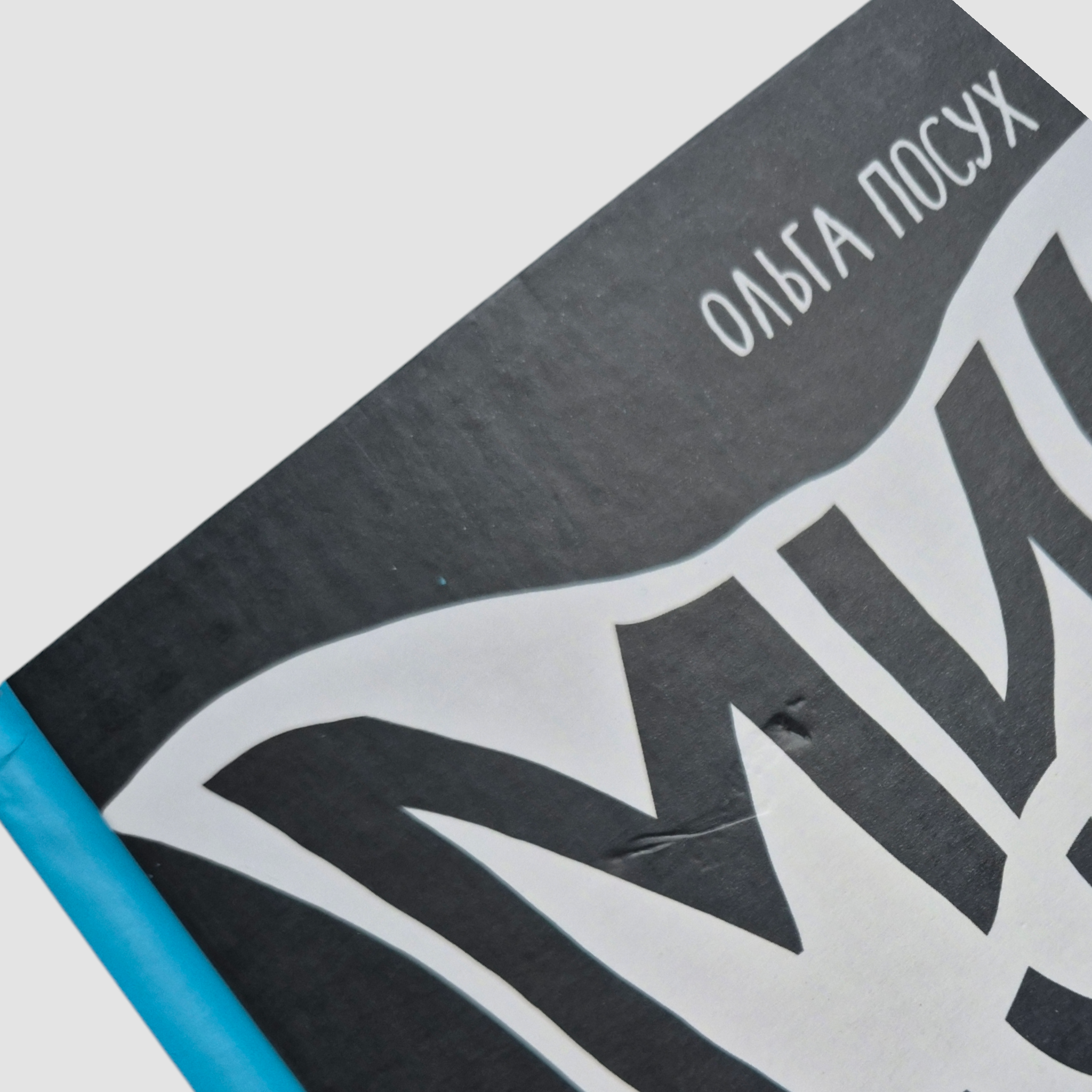 Micro superheroes. The most tenacious (external defect)