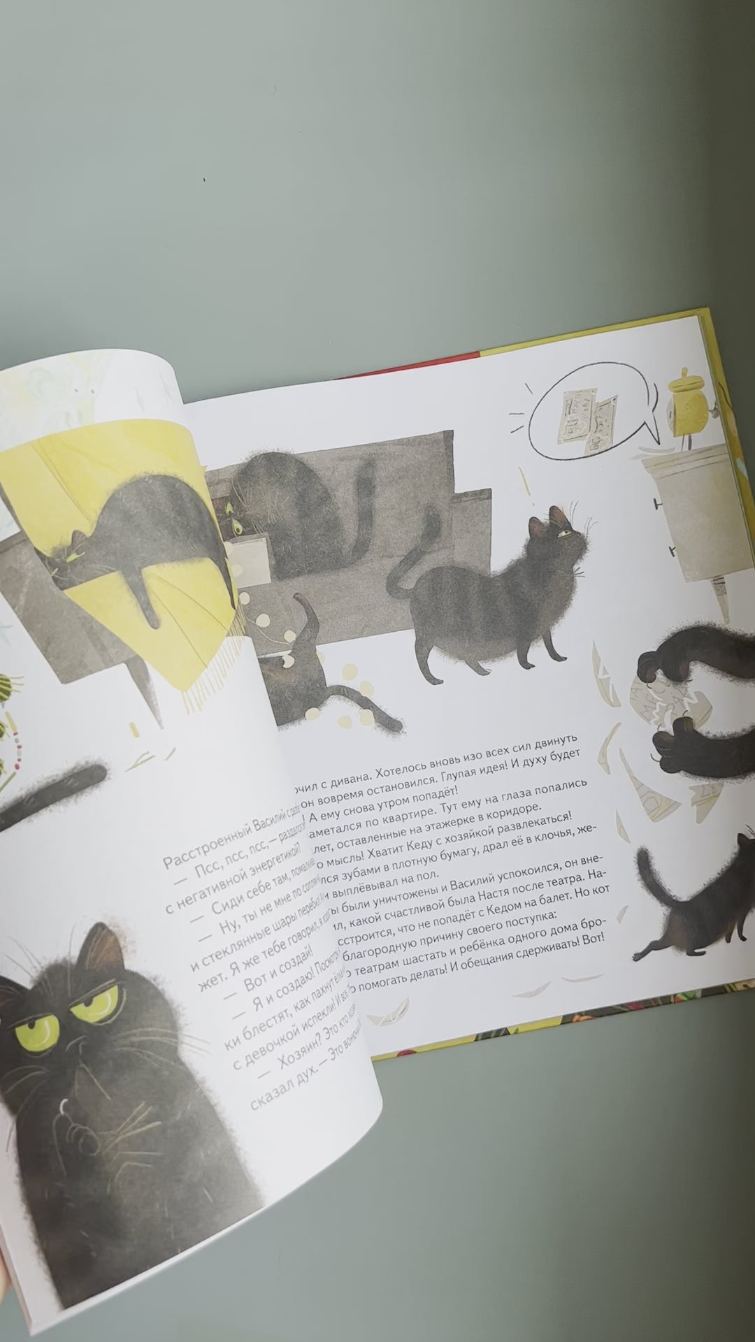 Книга-котострофа. Кот и Новый год!