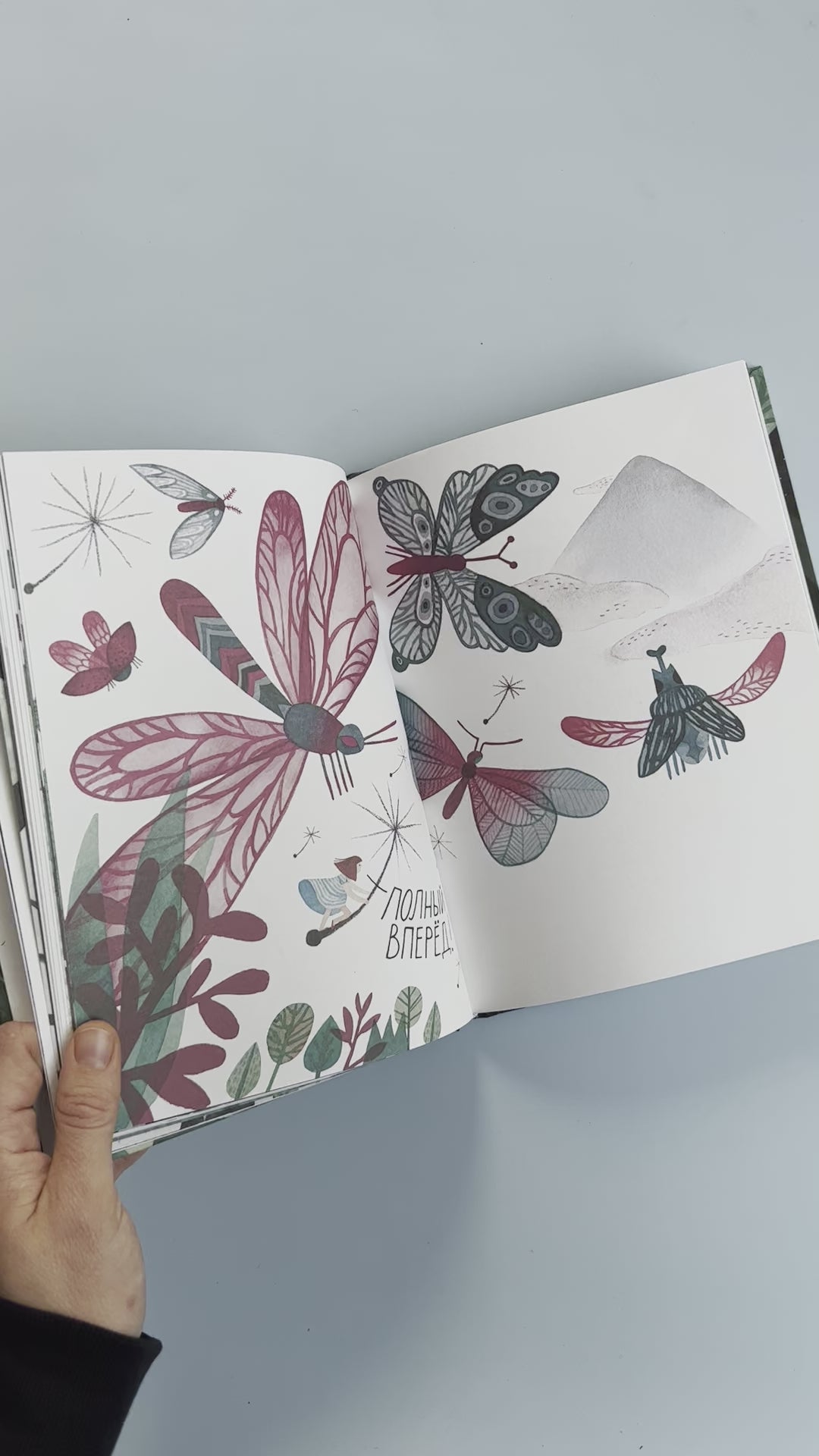 Невидимый сад