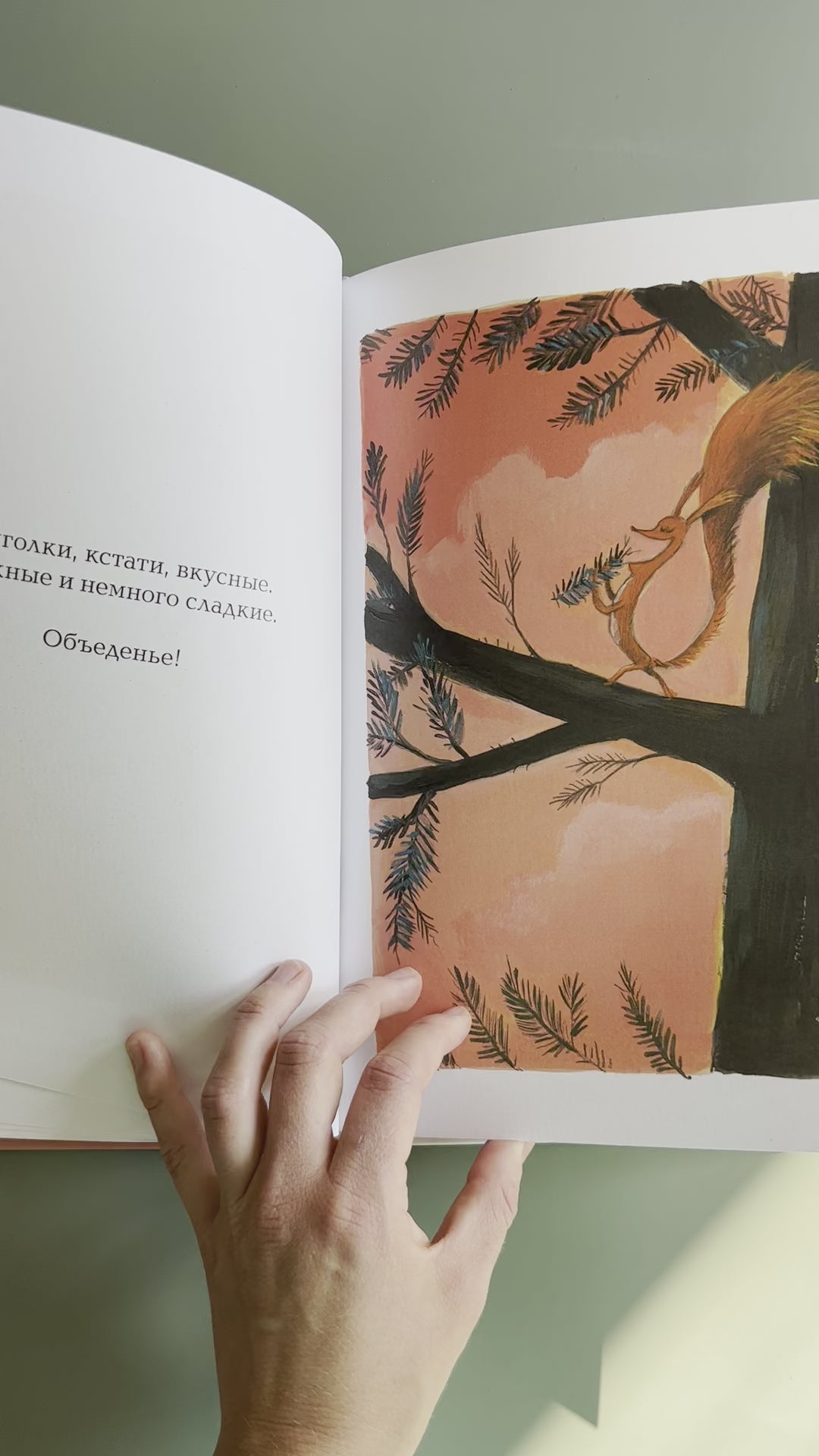 This is definitely the last one