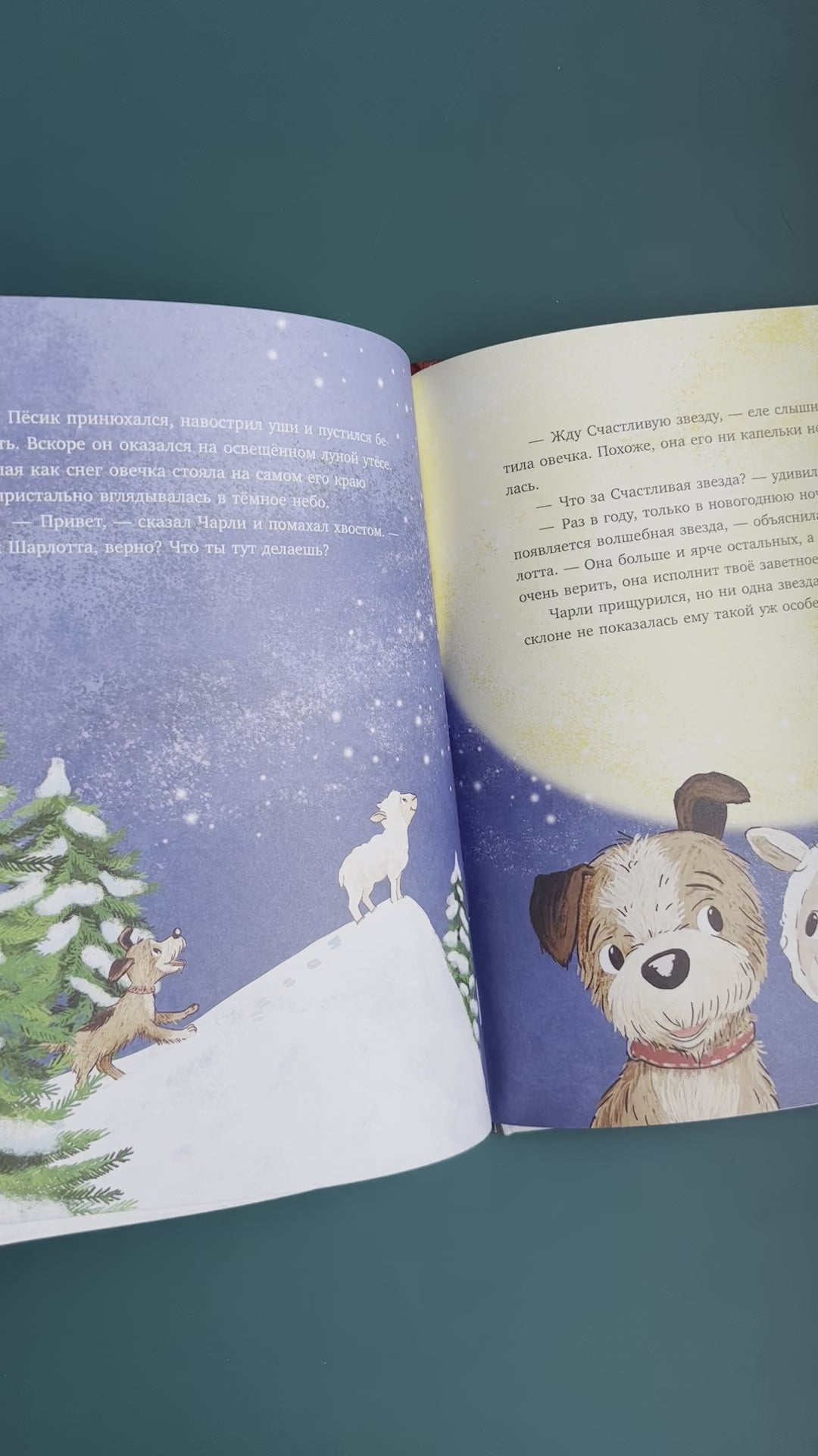 New house for New Year 