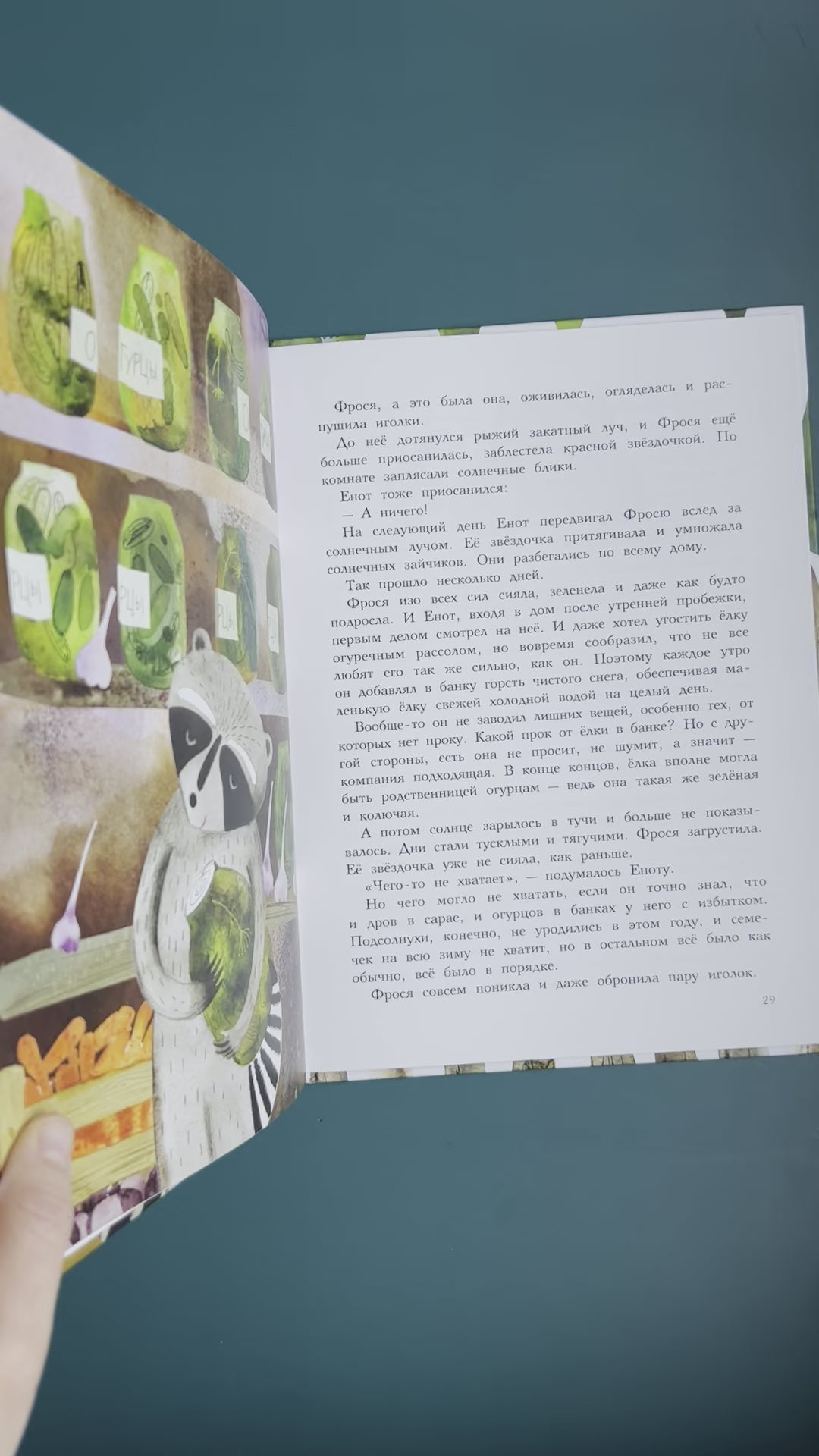 Фрося - ель обыкновенная