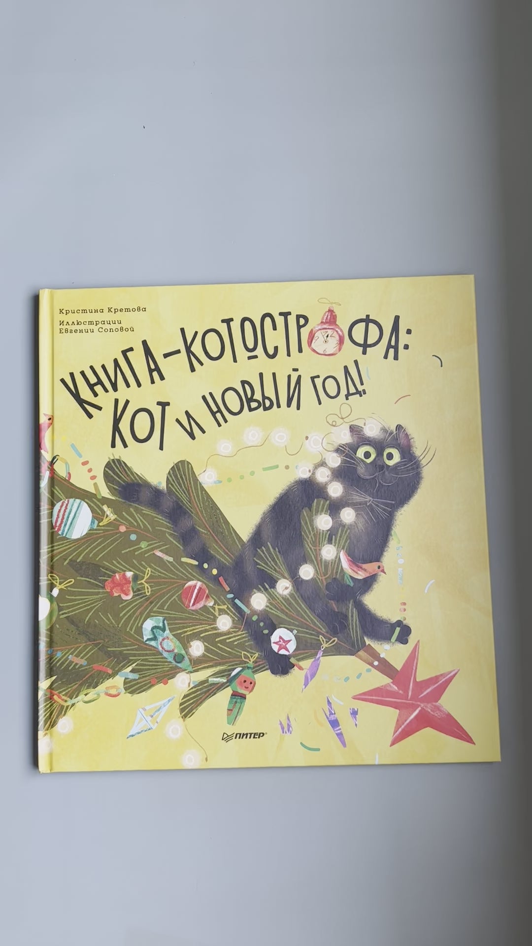 Книга-котострофа. Кот и Новый год!