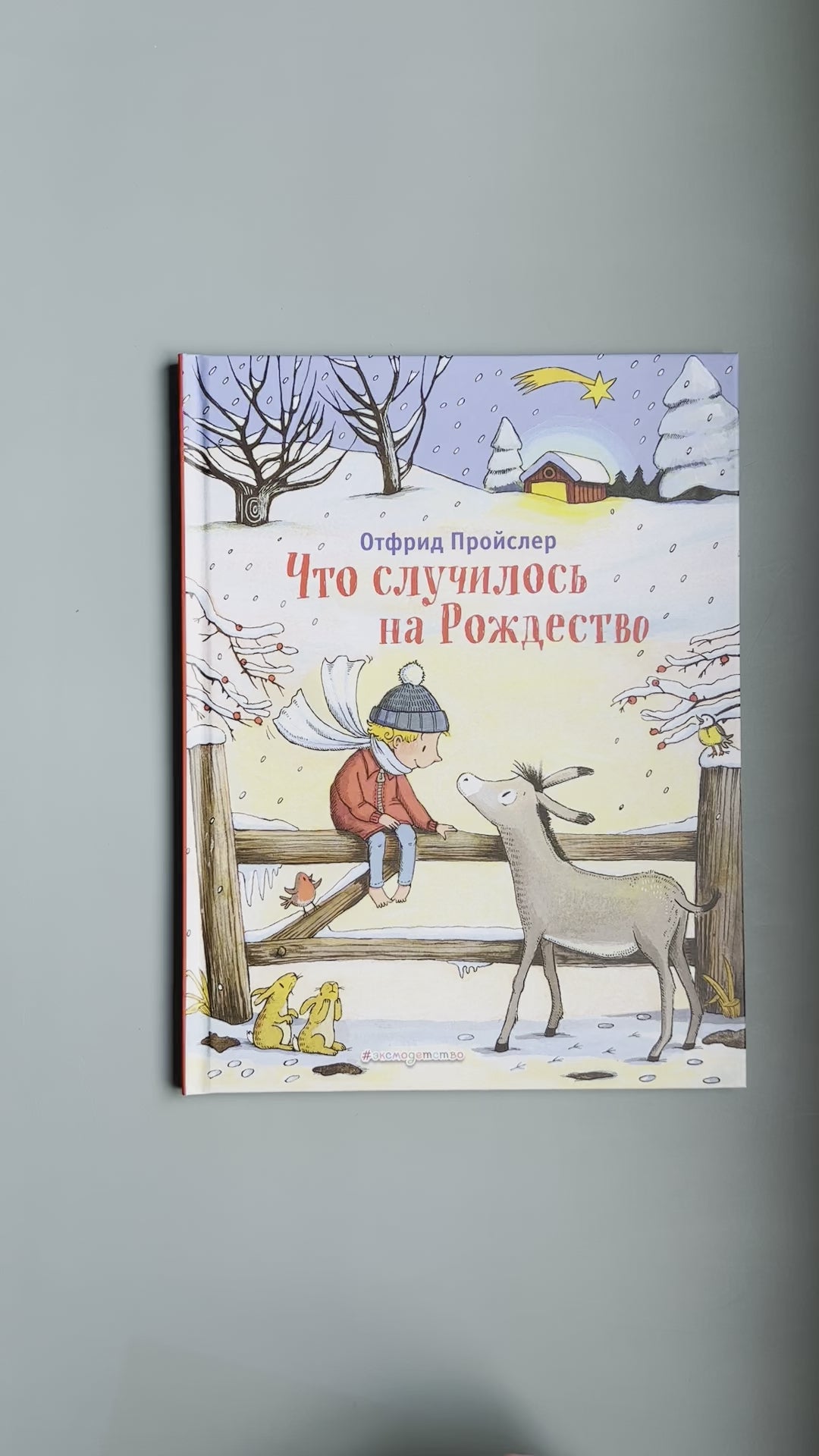 Что случилось на Рождество