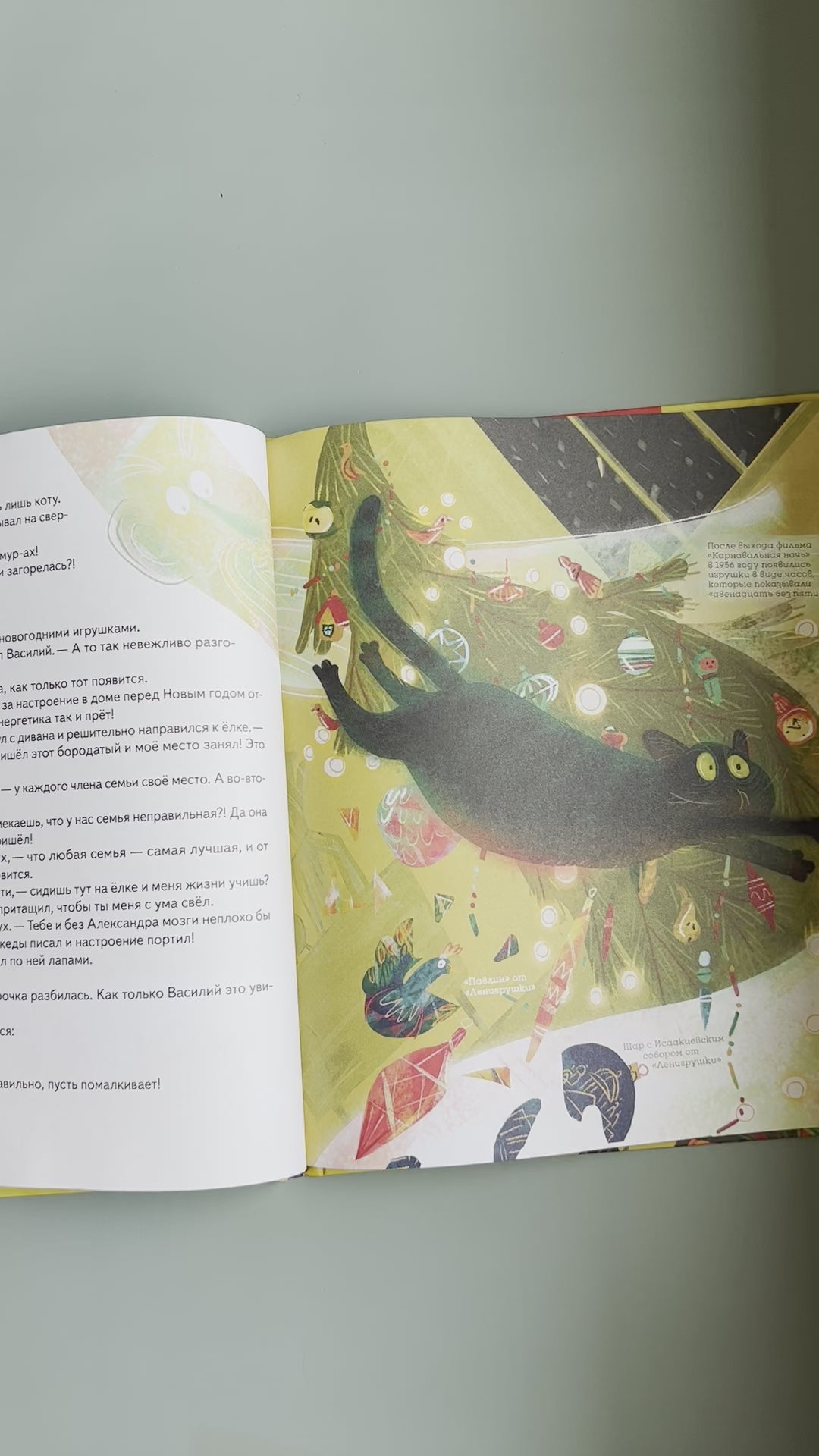 Книга-котострофа. Кот и Новый год!