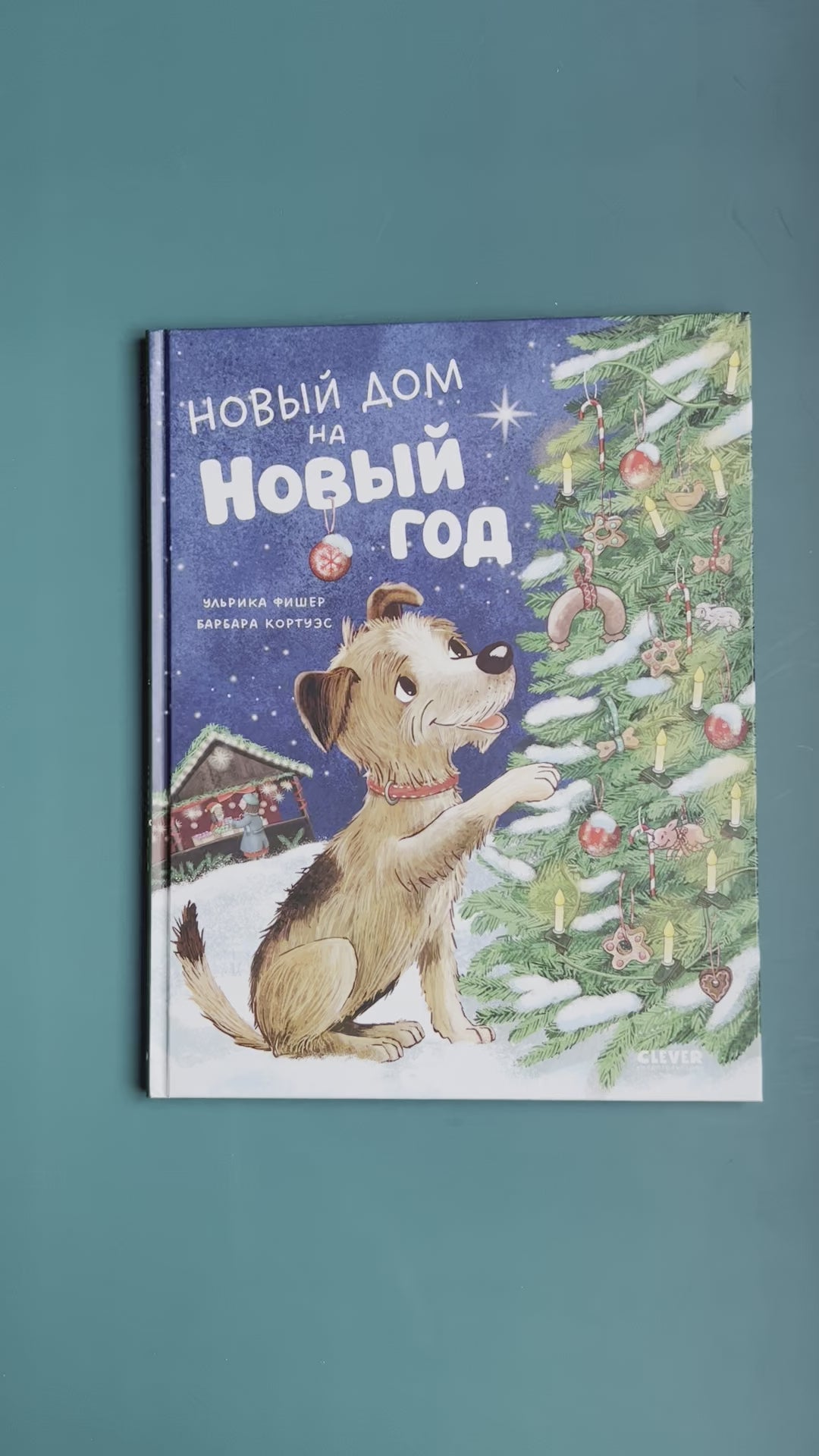 New house for New Year 