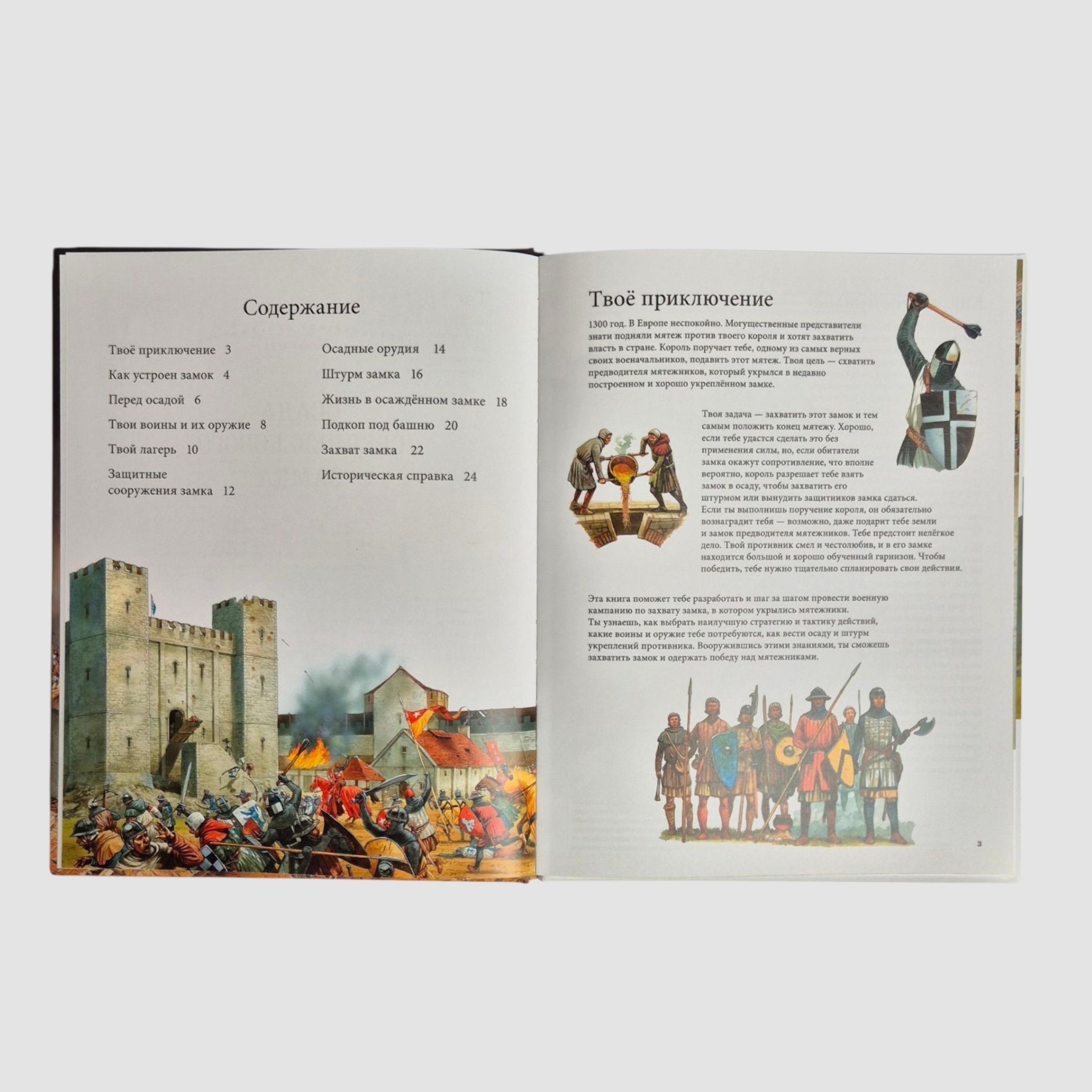 Siege of a medieval castle