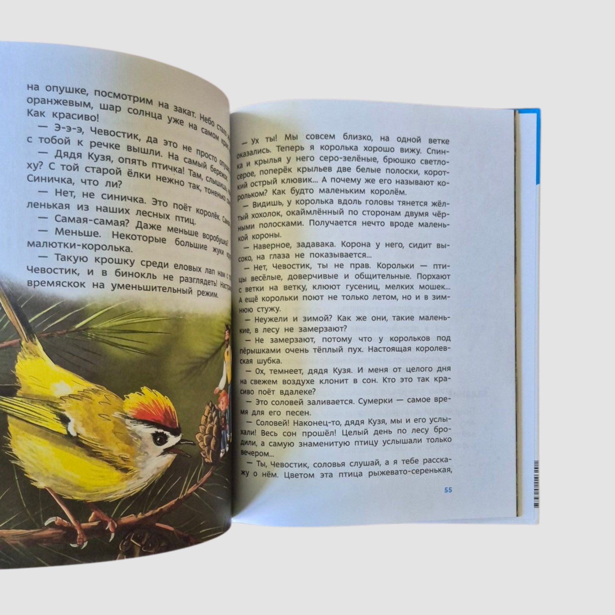 Птицы. Детская энциклопедия (Чевостик)