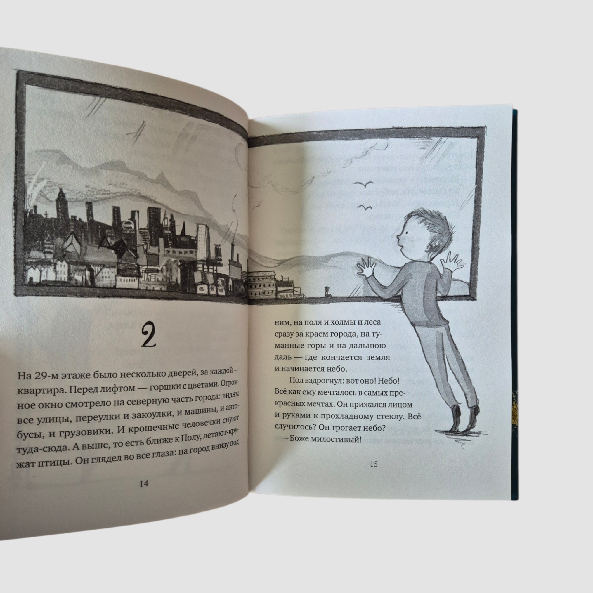 Мальчик, который залез в Луну