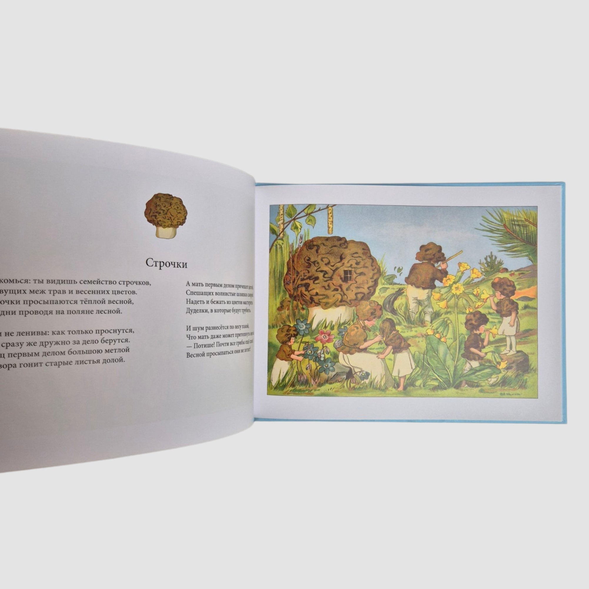 В гостях у грибного народца