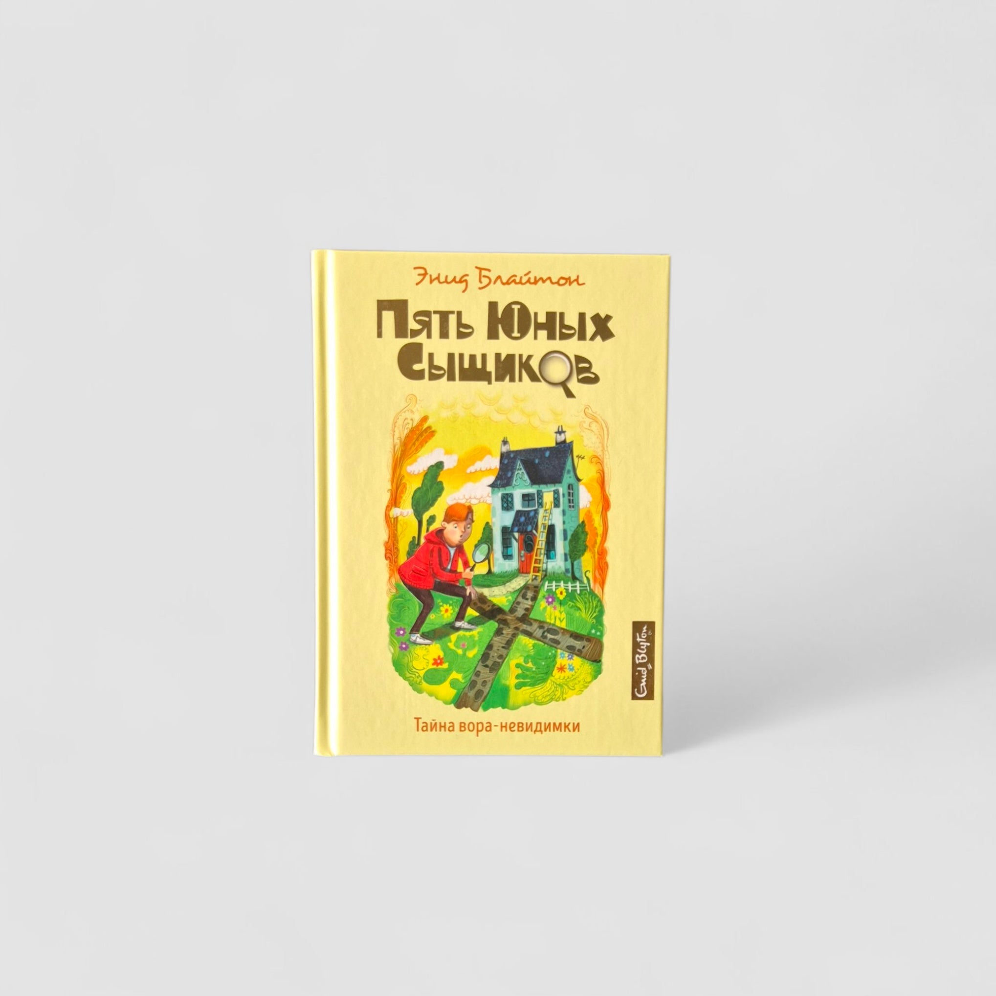 Пять юных сыщиков. Тайна вора-невидимки