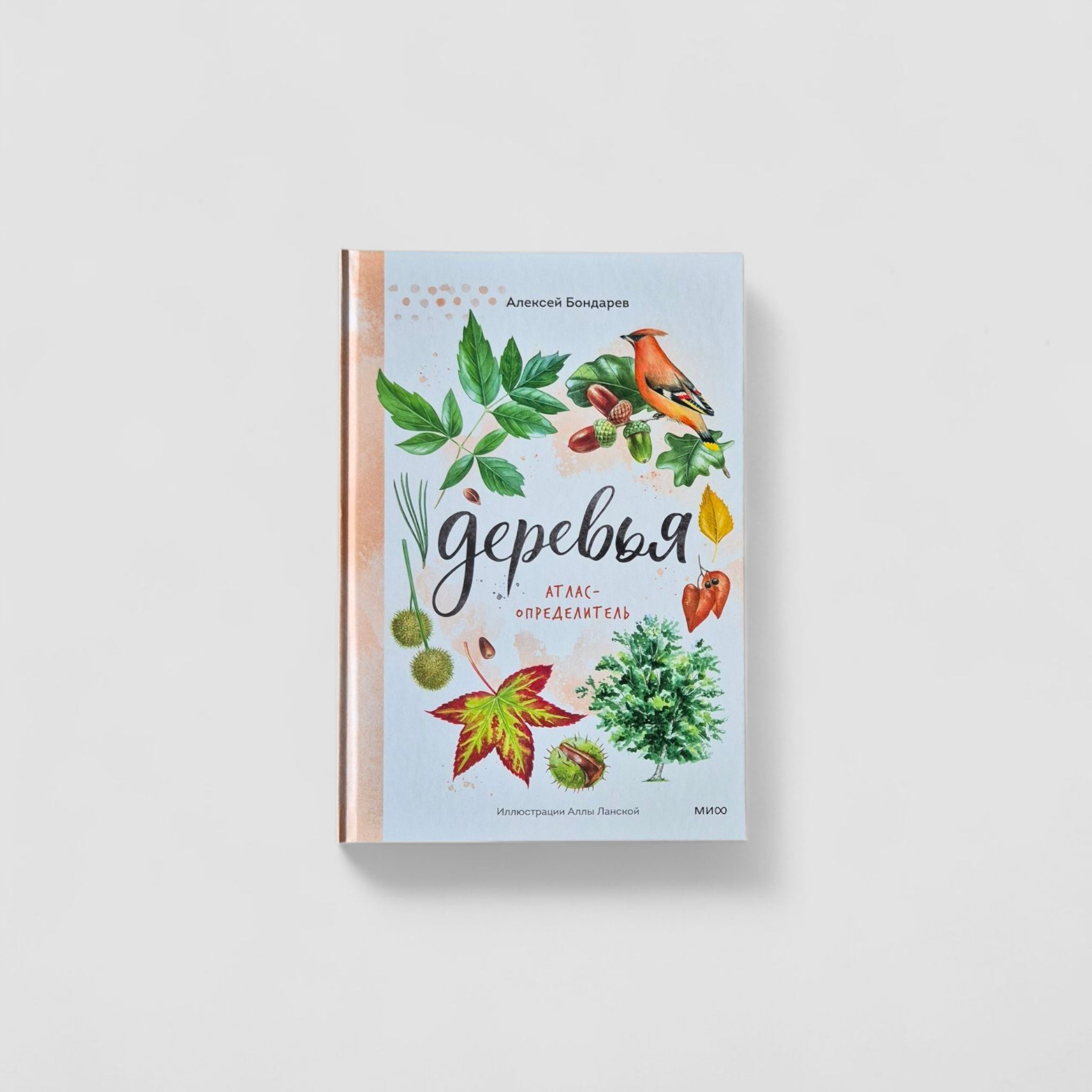 Деревья. Атлас-определитель