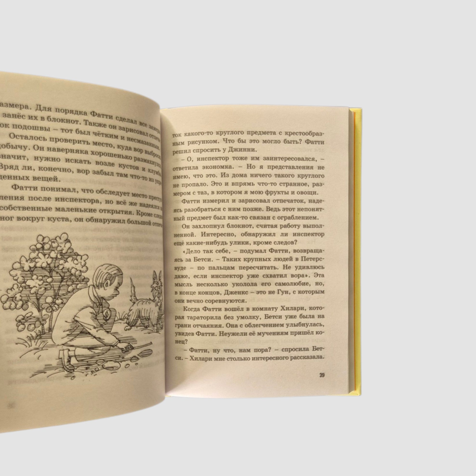 Пять юных сыщиков. Тайна вора-невидимки