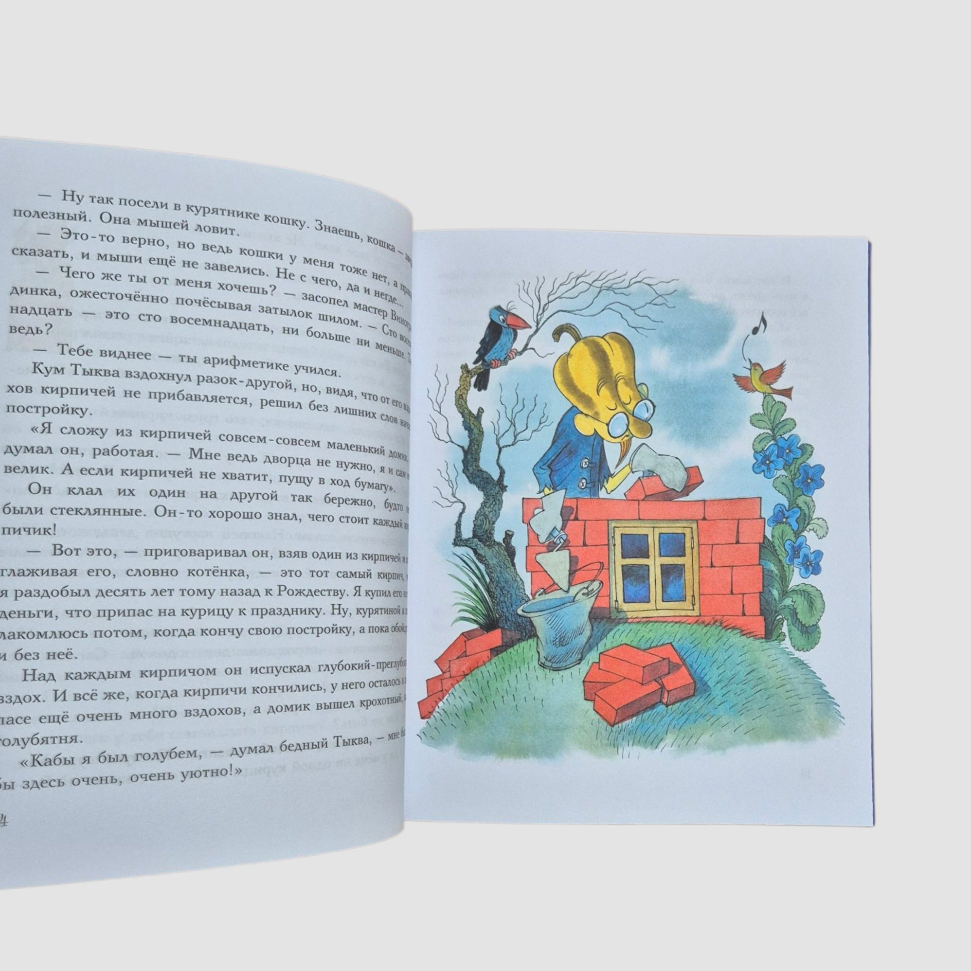 Приключения Чиполлино (внешний дефект)