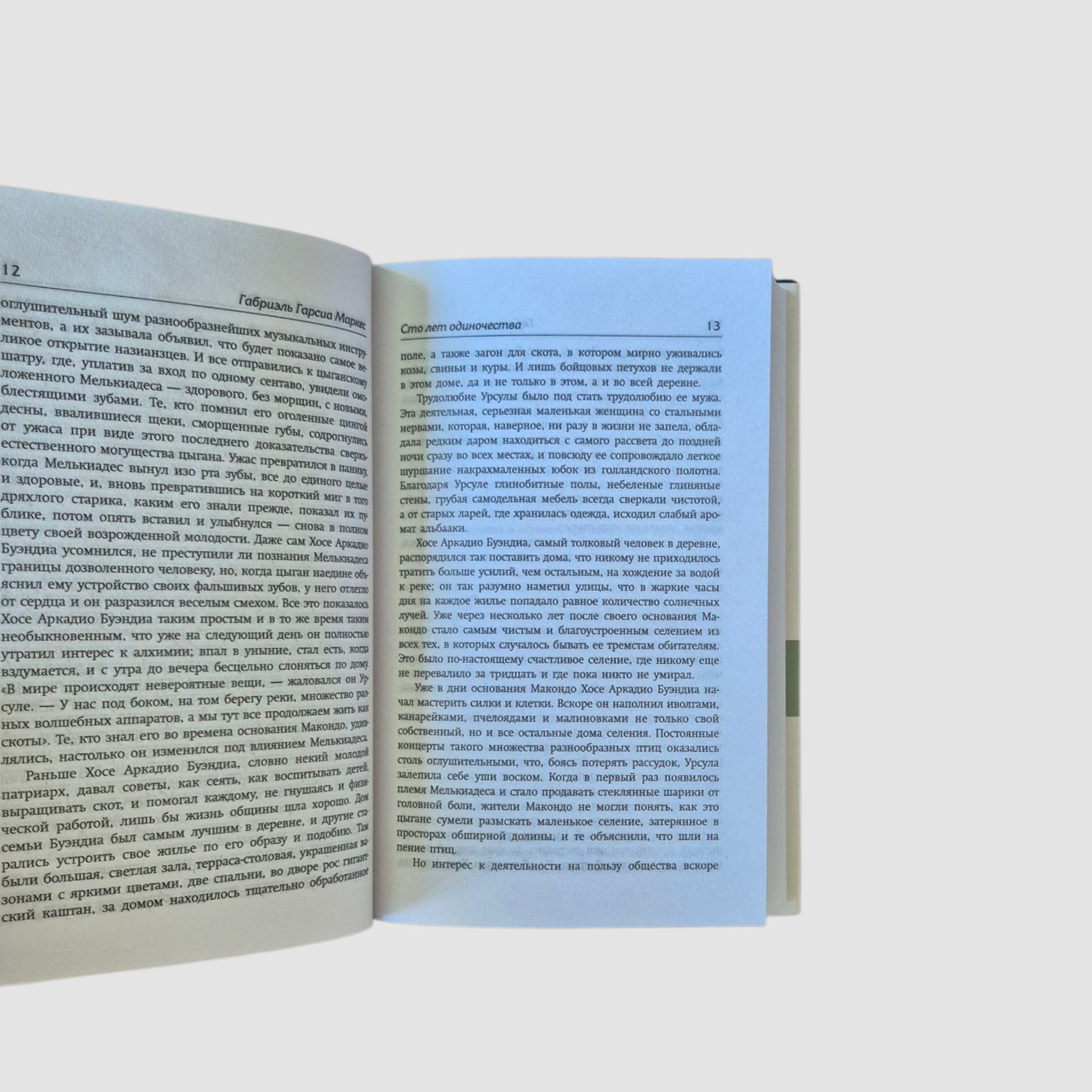 One Hundred Years of Solitude