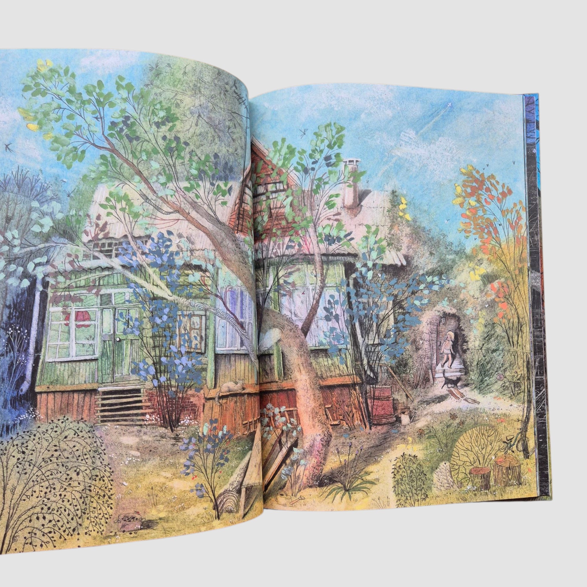 История одного лета