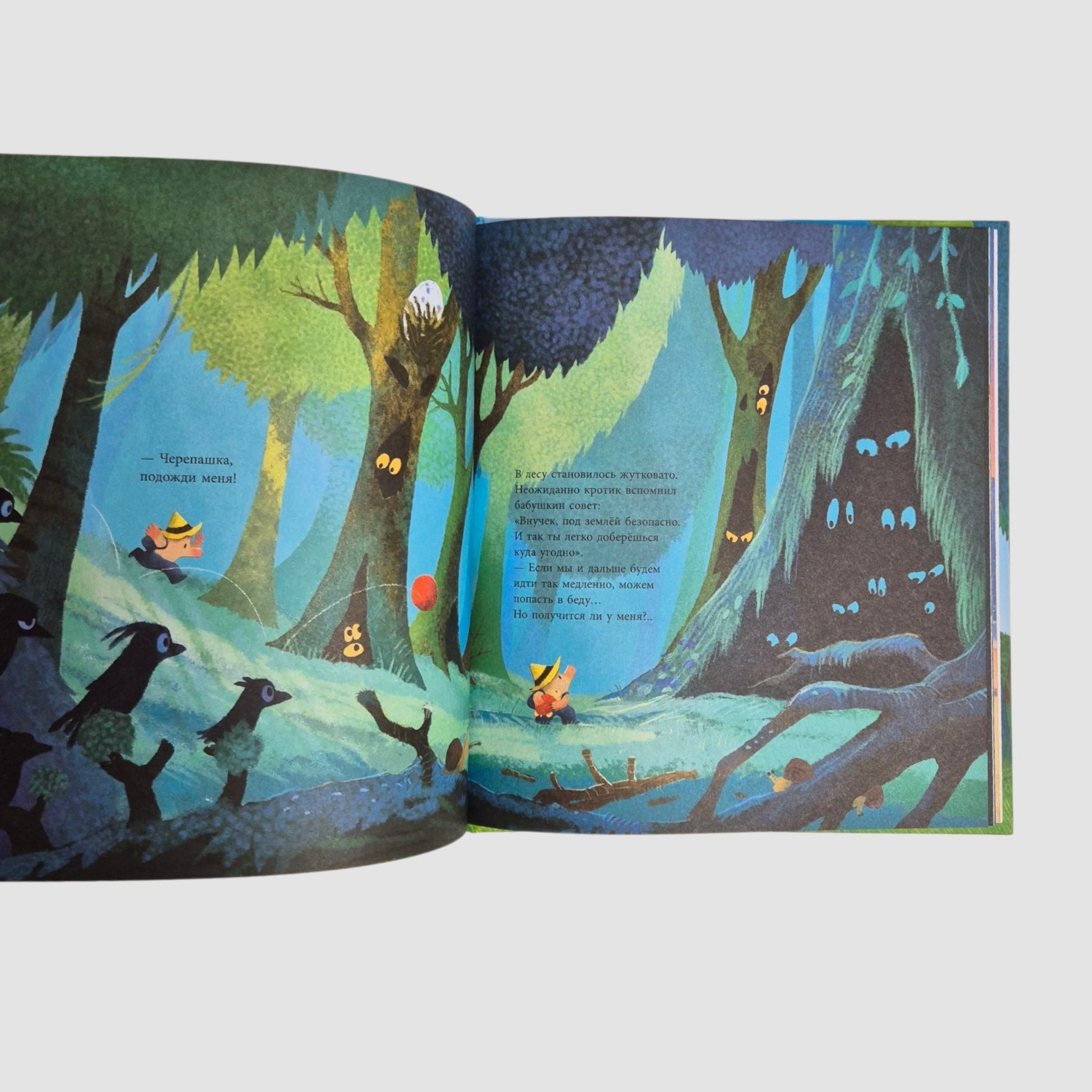 Mole's Summer Adventure