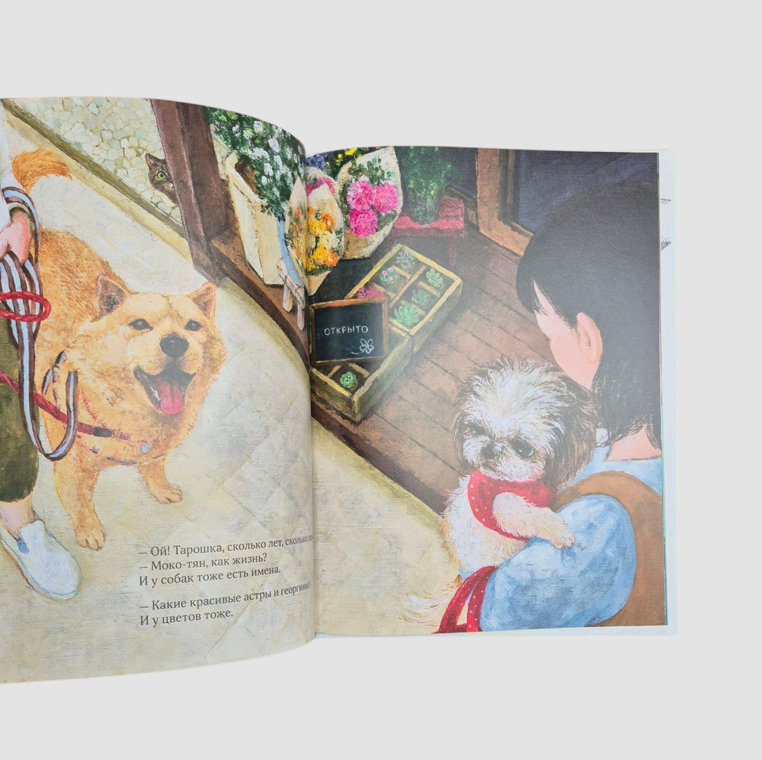 Кот без имени