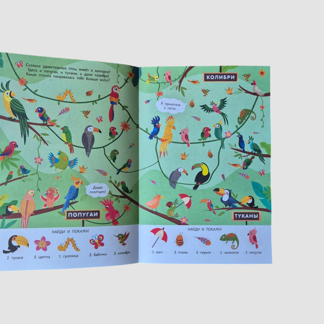 Зоопарк. Очень большой виммельбух