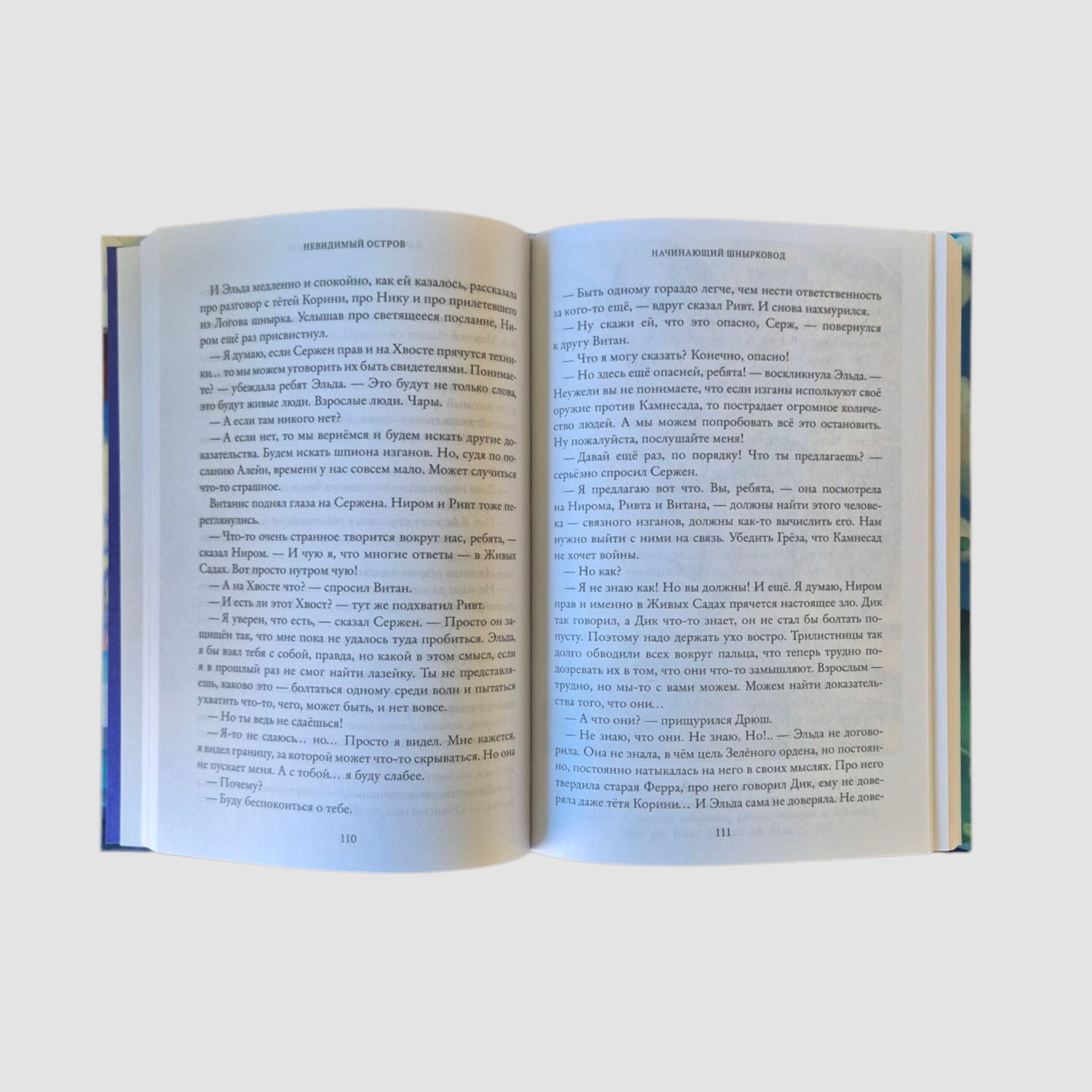 Тайны Чароводья. Невидимый остров. Книга 4