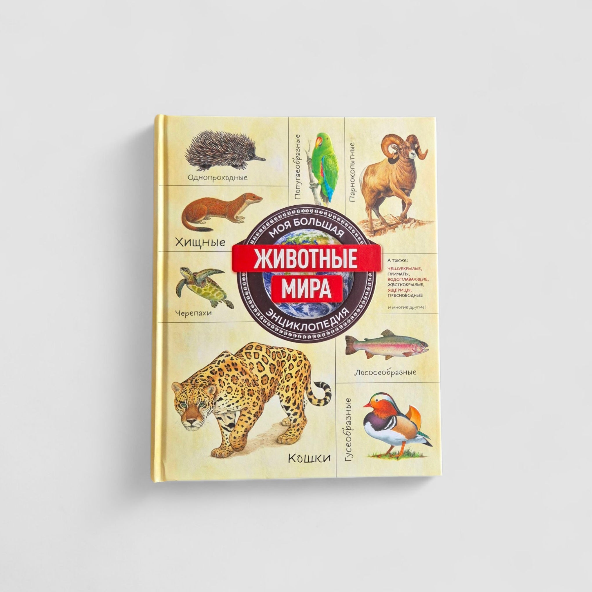 Animals of the World. My Big Encyclopedia