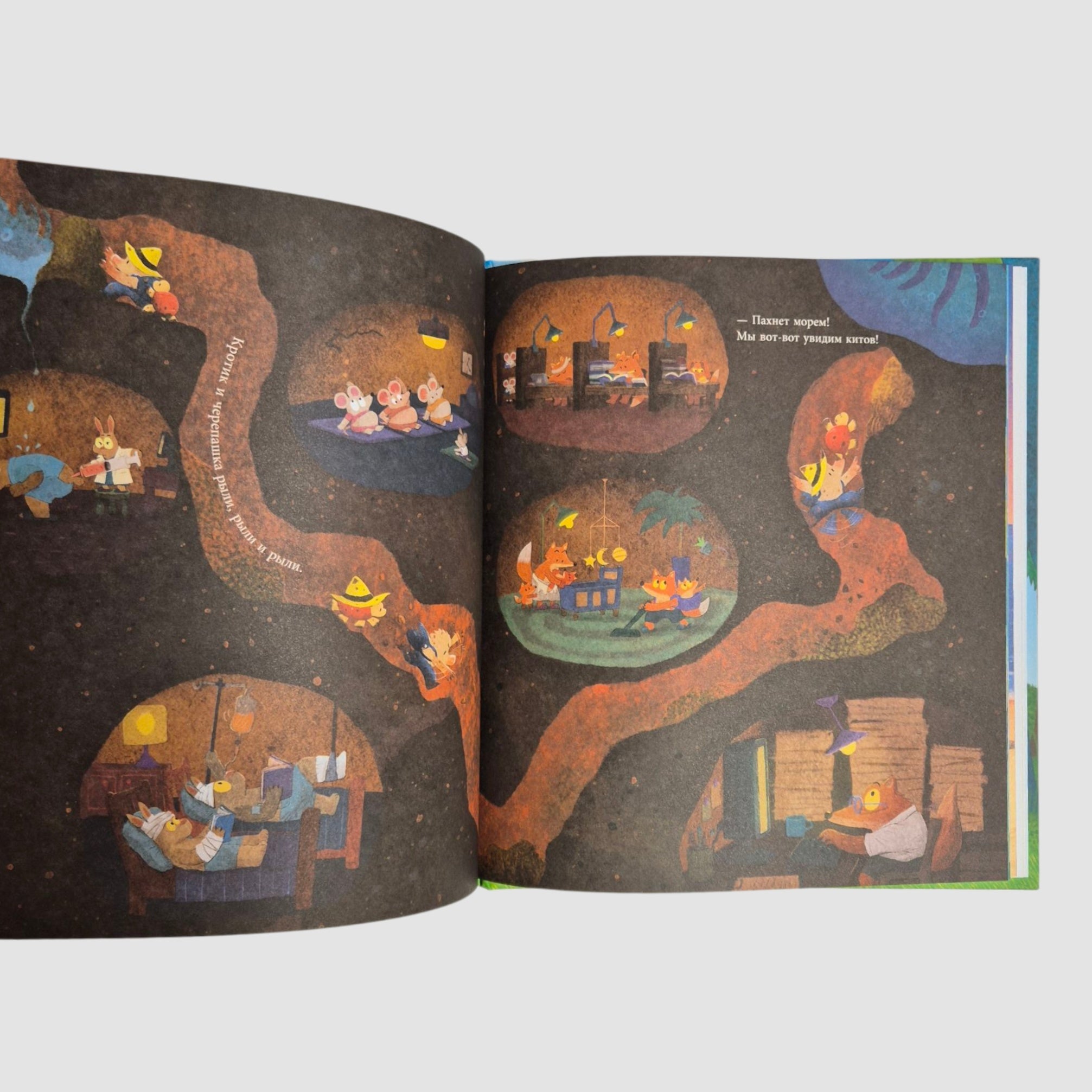 Mole's Summer Adventure