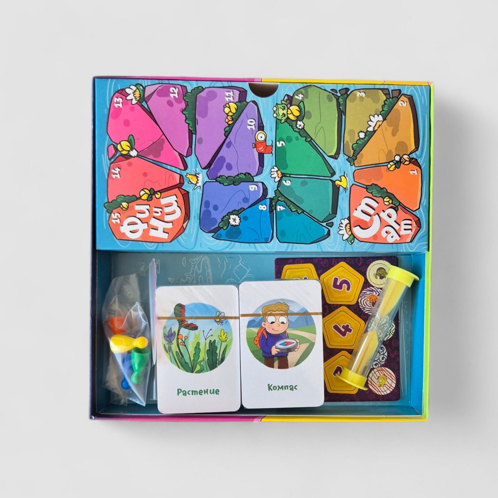 Кругозорник