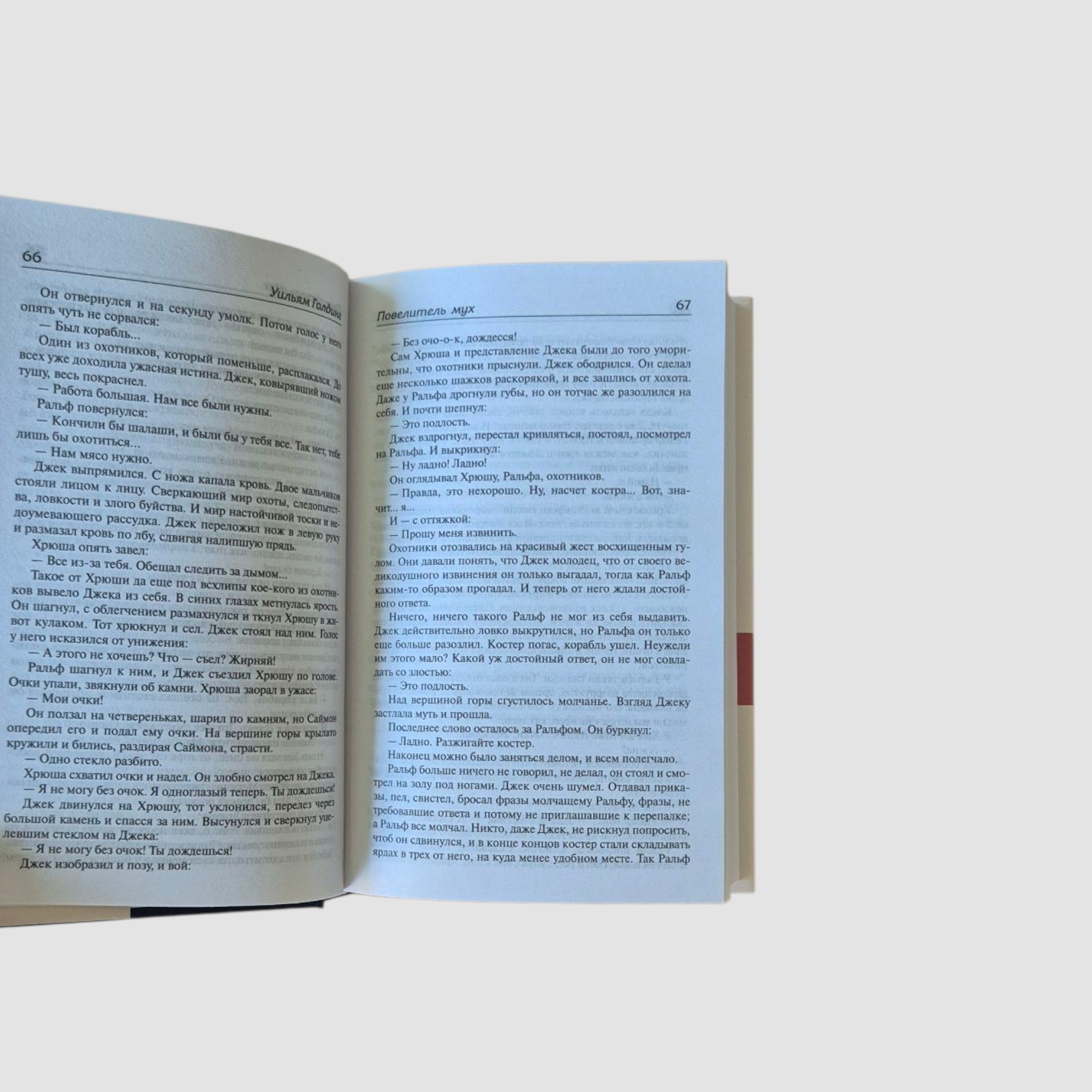 Повелитель мух; Наследники; Воришка Мартин