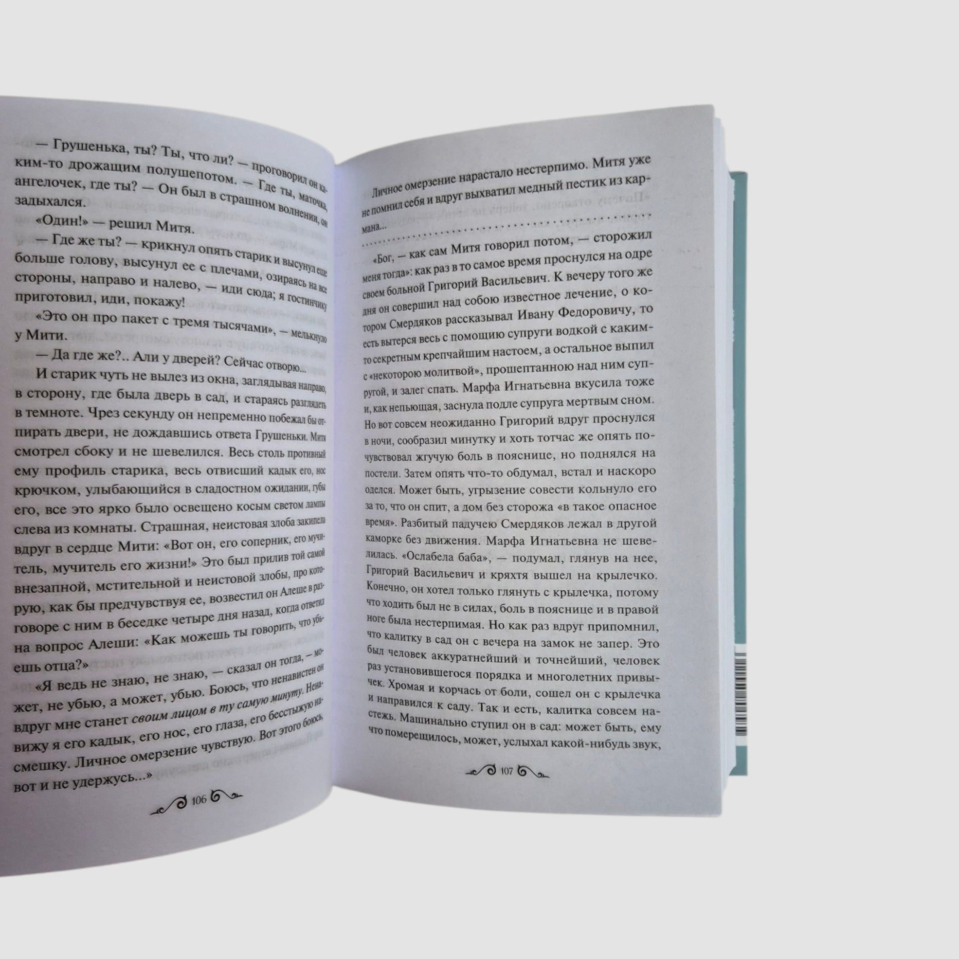 The Brothers Karamazov. Volume 2