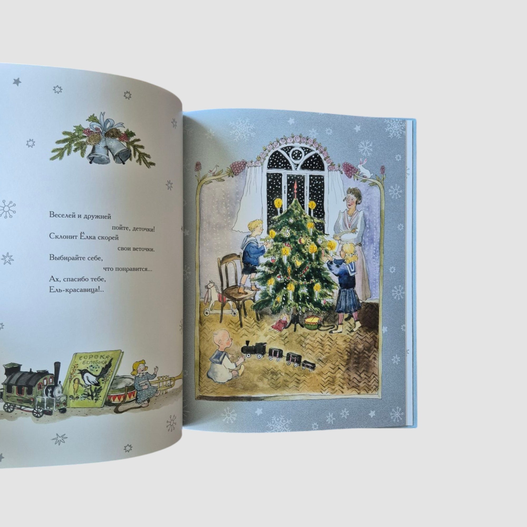 A Christmas tree was born in the forest