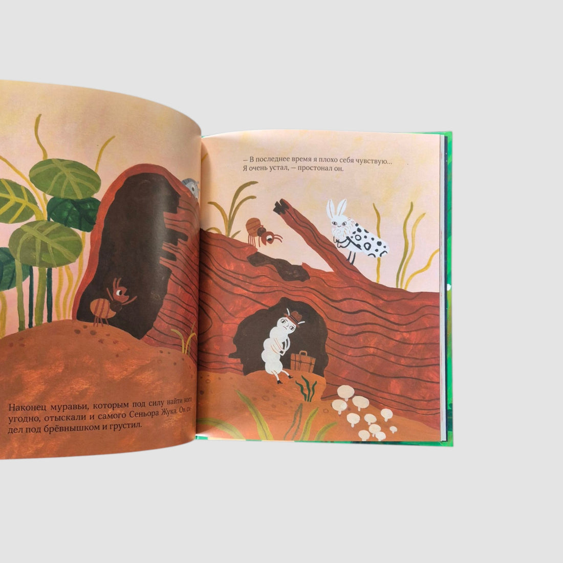 Hotel "at the Beetle"