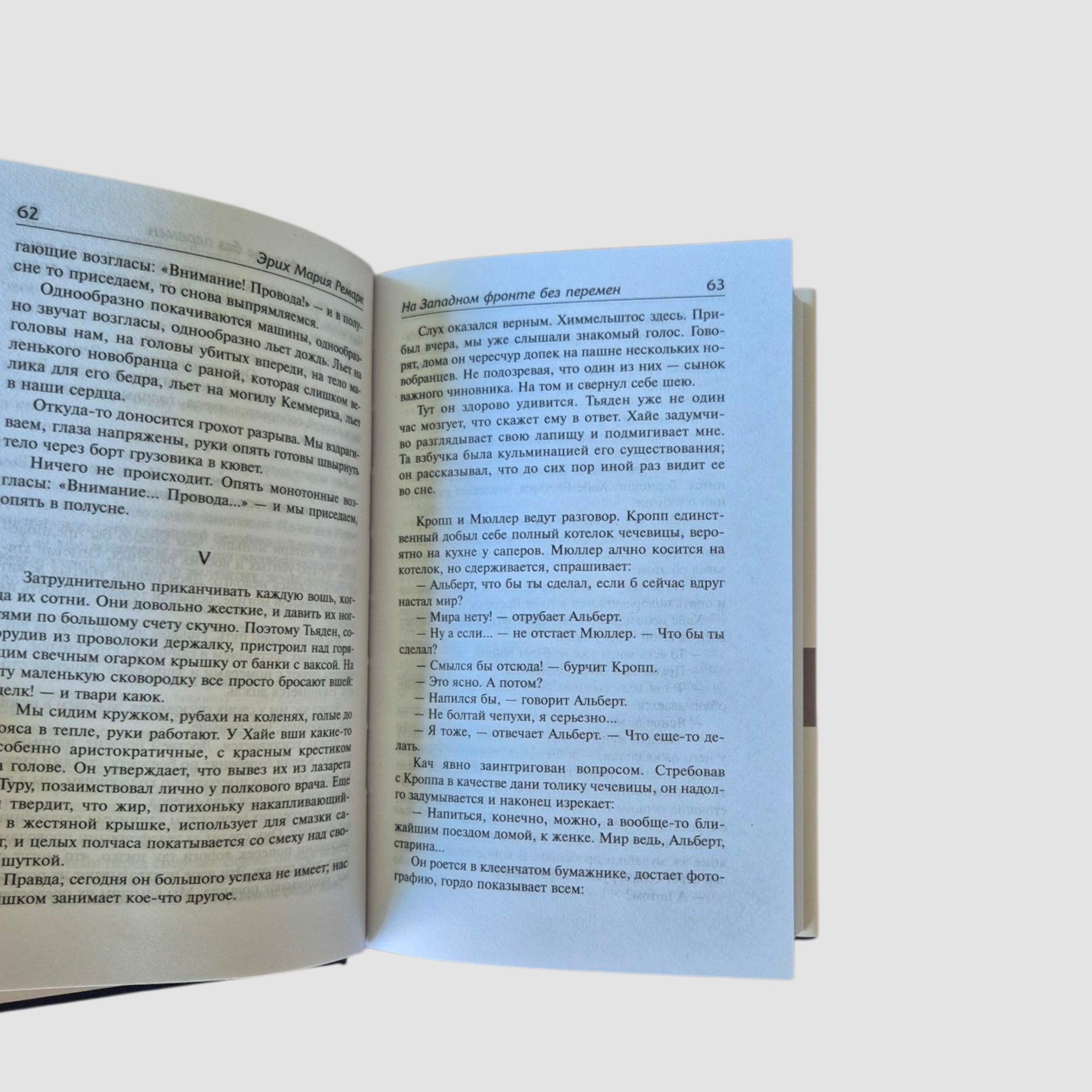 All Quiet on the Western Front. On the Way Back