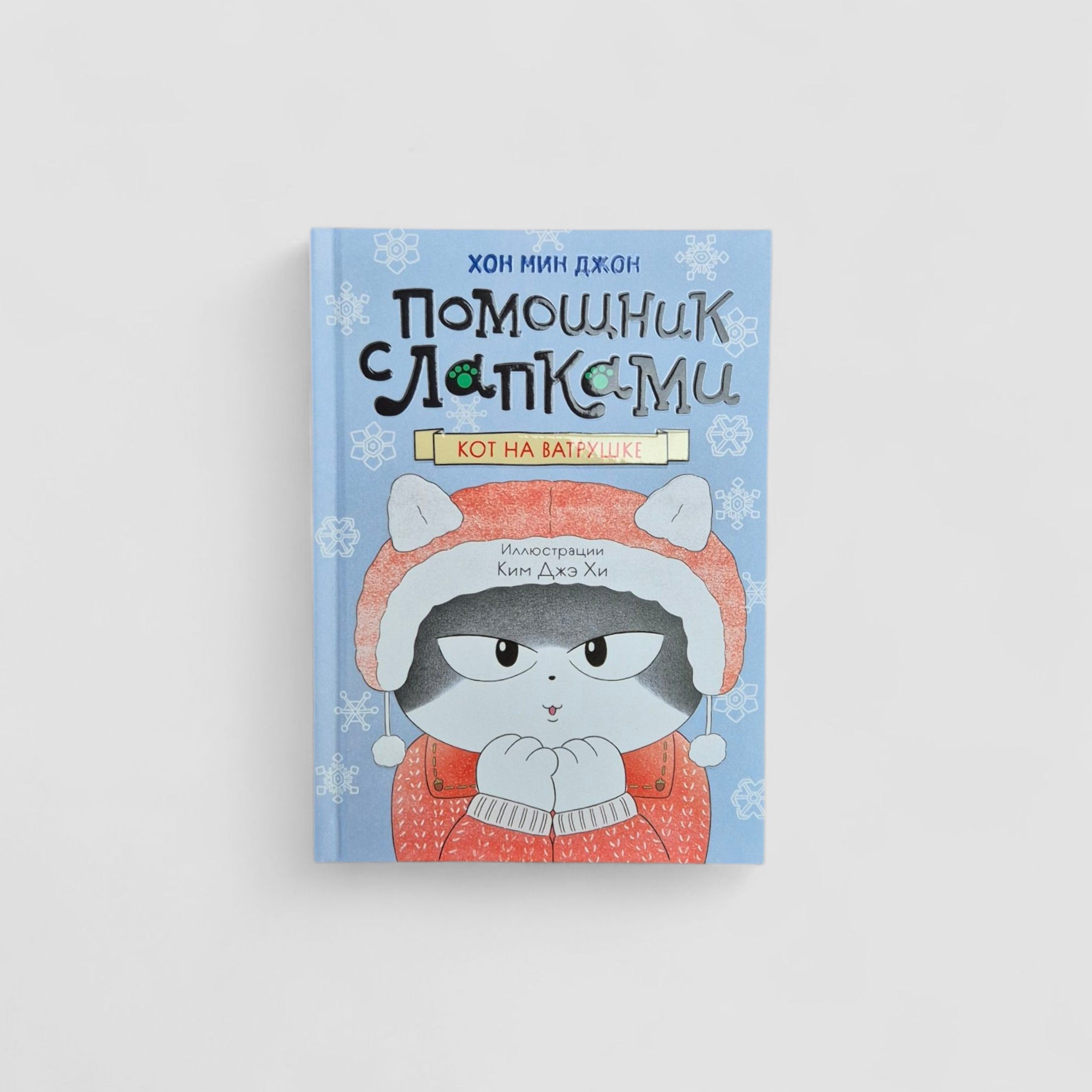 Помощник с лапками. Кот на ватрушке