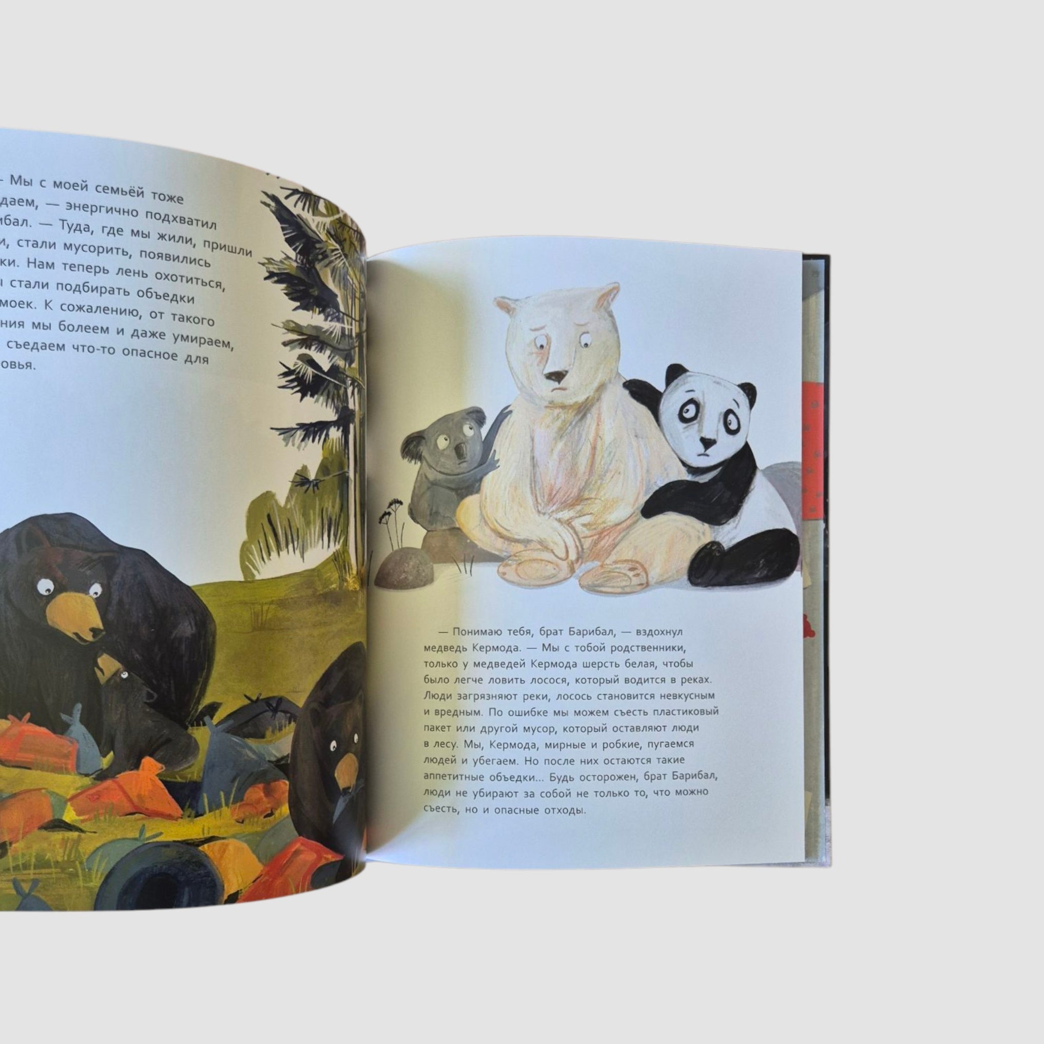 Тайная миссия плюшевого Мишки