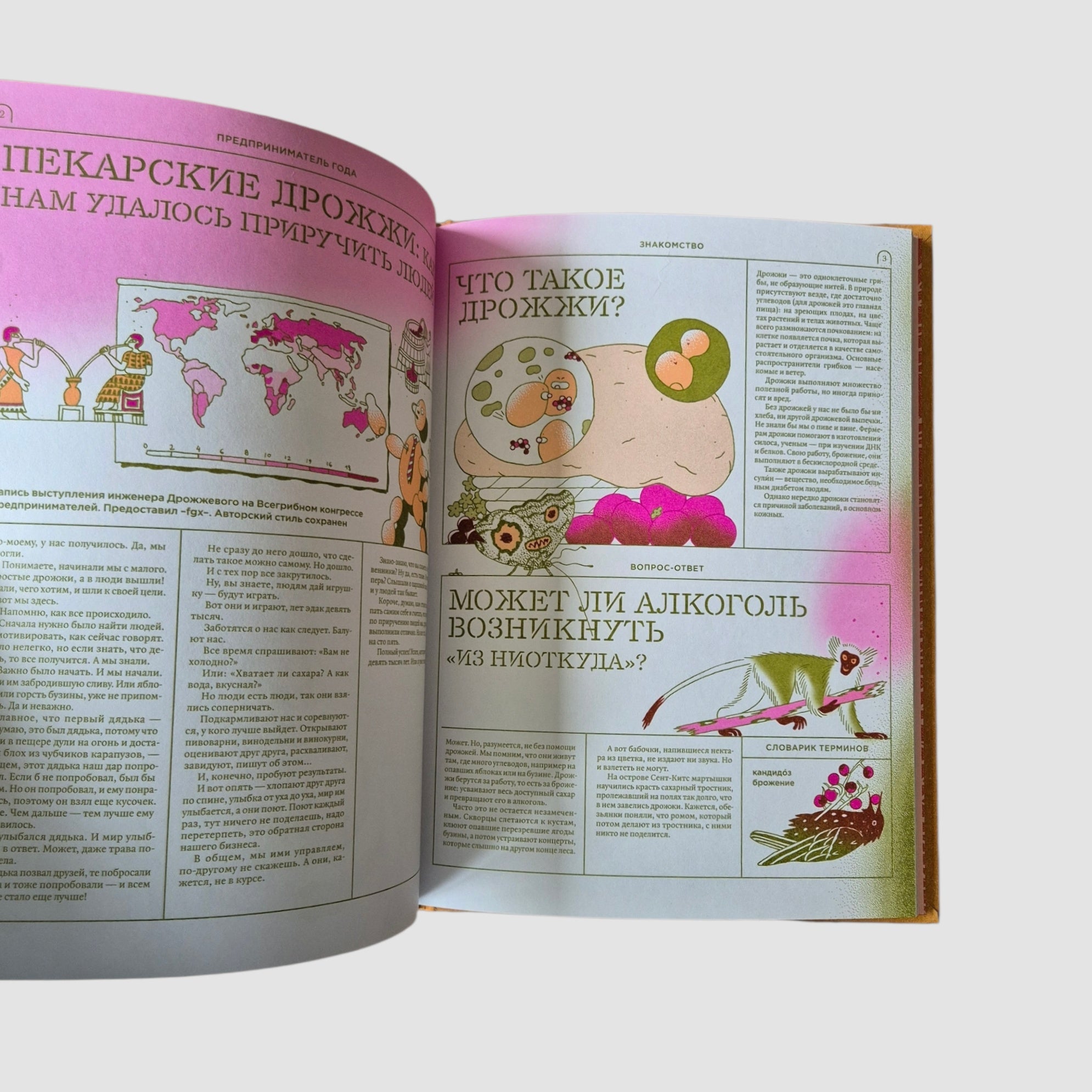 Мико. Полный путеводитель по миру грибов