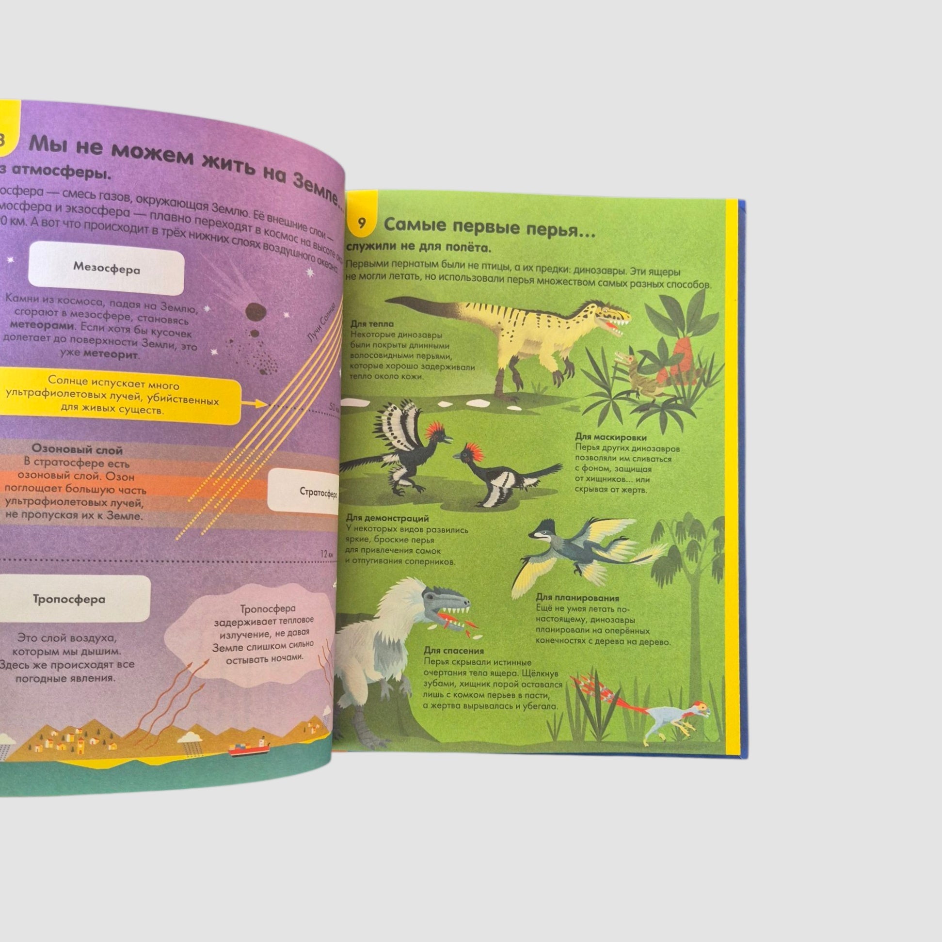 100 любопытных почему о науке