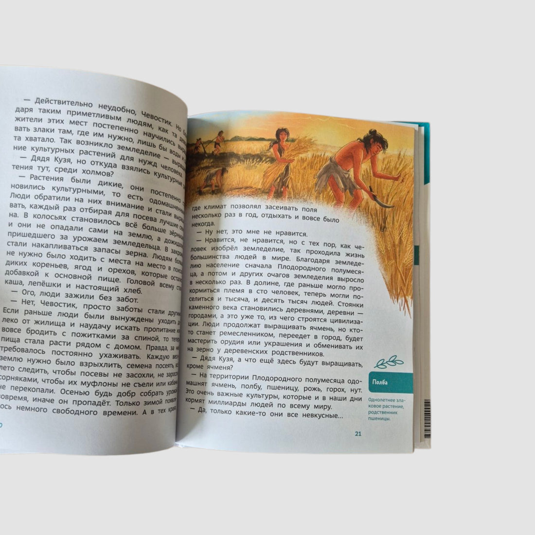 Древние цивилизации. Детская энциклопедия (Чевостик)