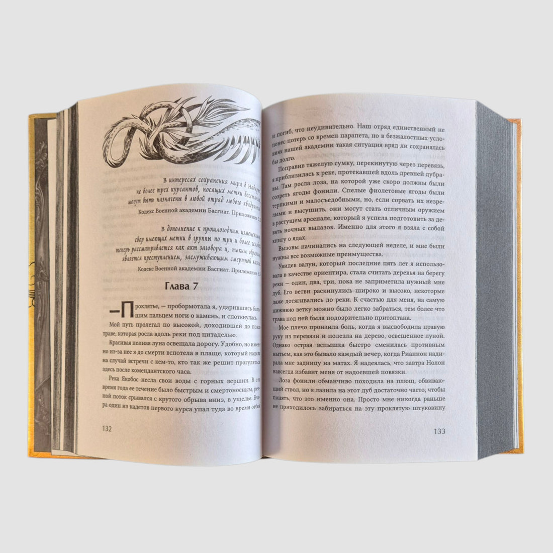 Четвертое крыло