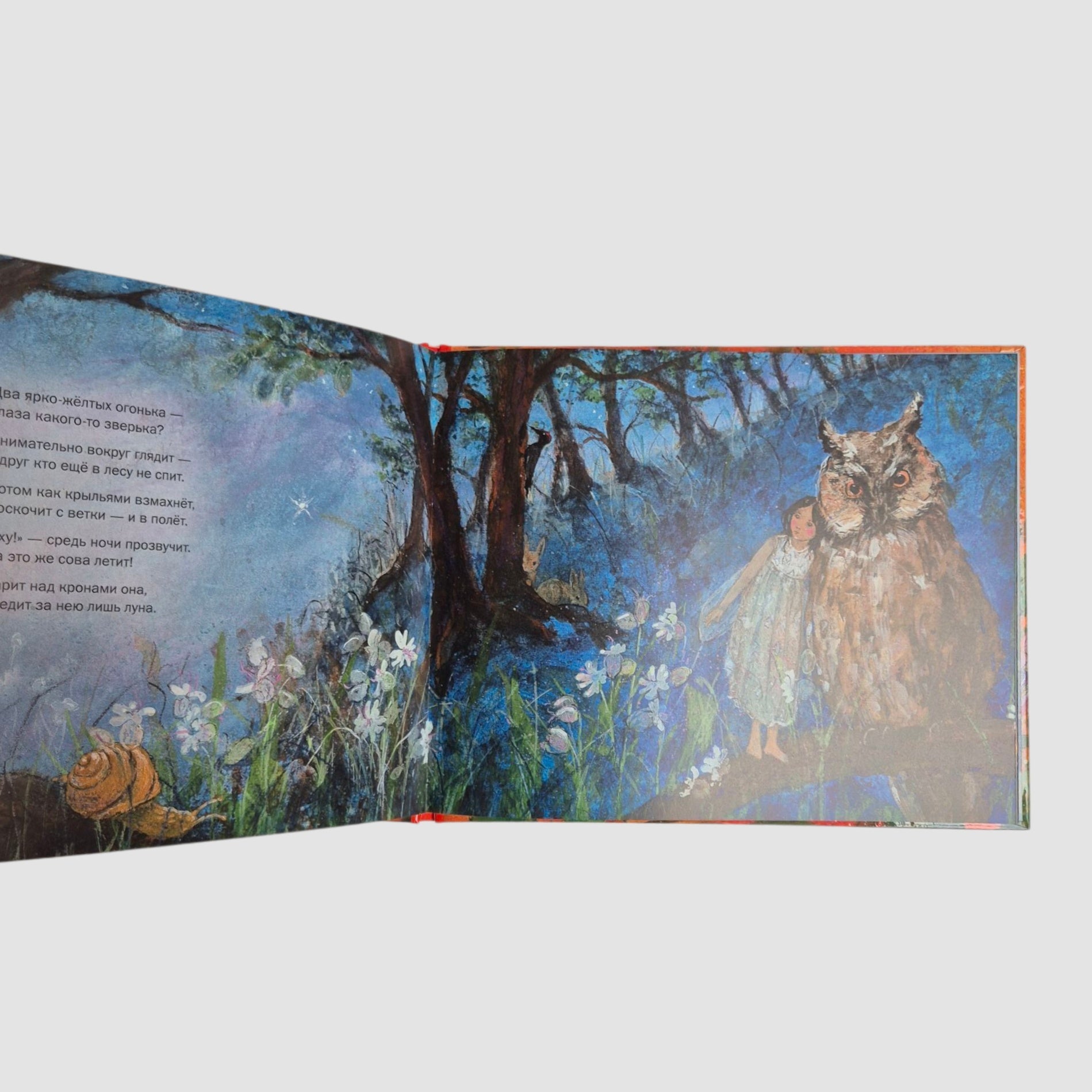 Летим в страну эльфов