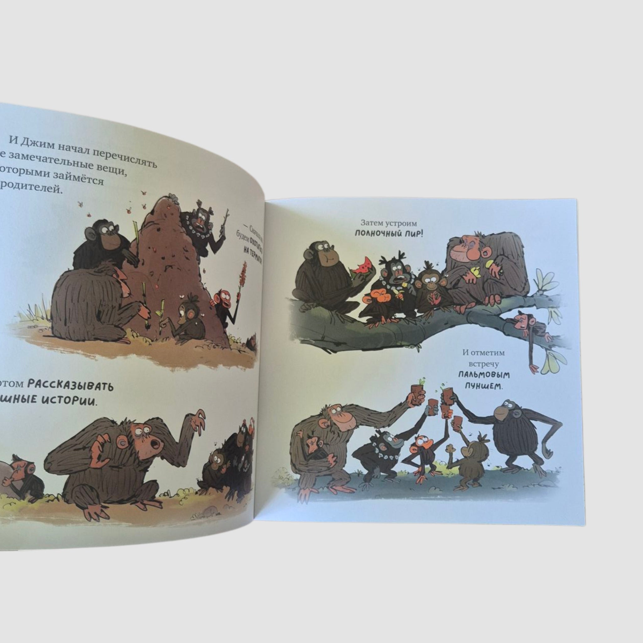 The Grumpy Monkey Doesn't Want to Sleep