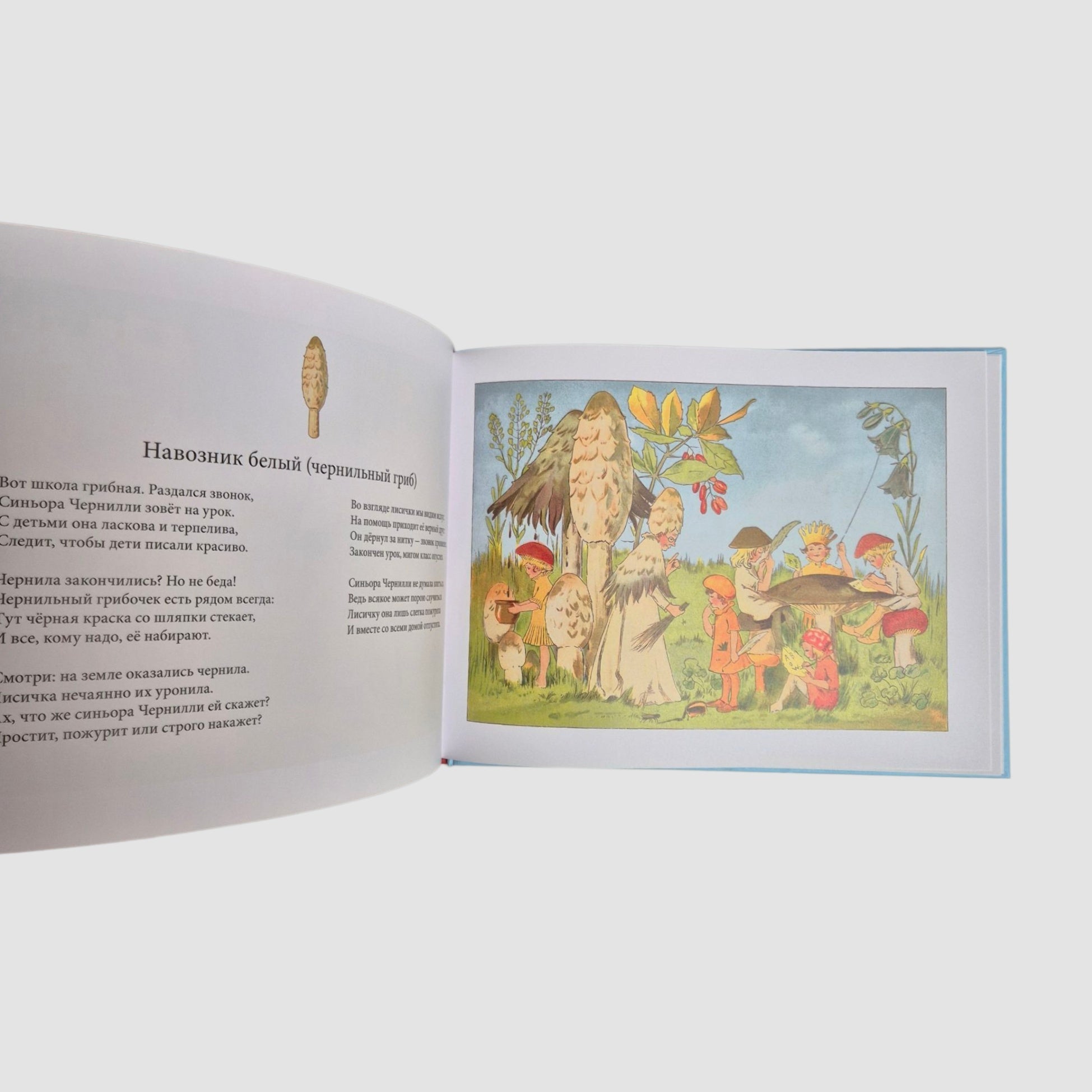 В гостях у грибного народца