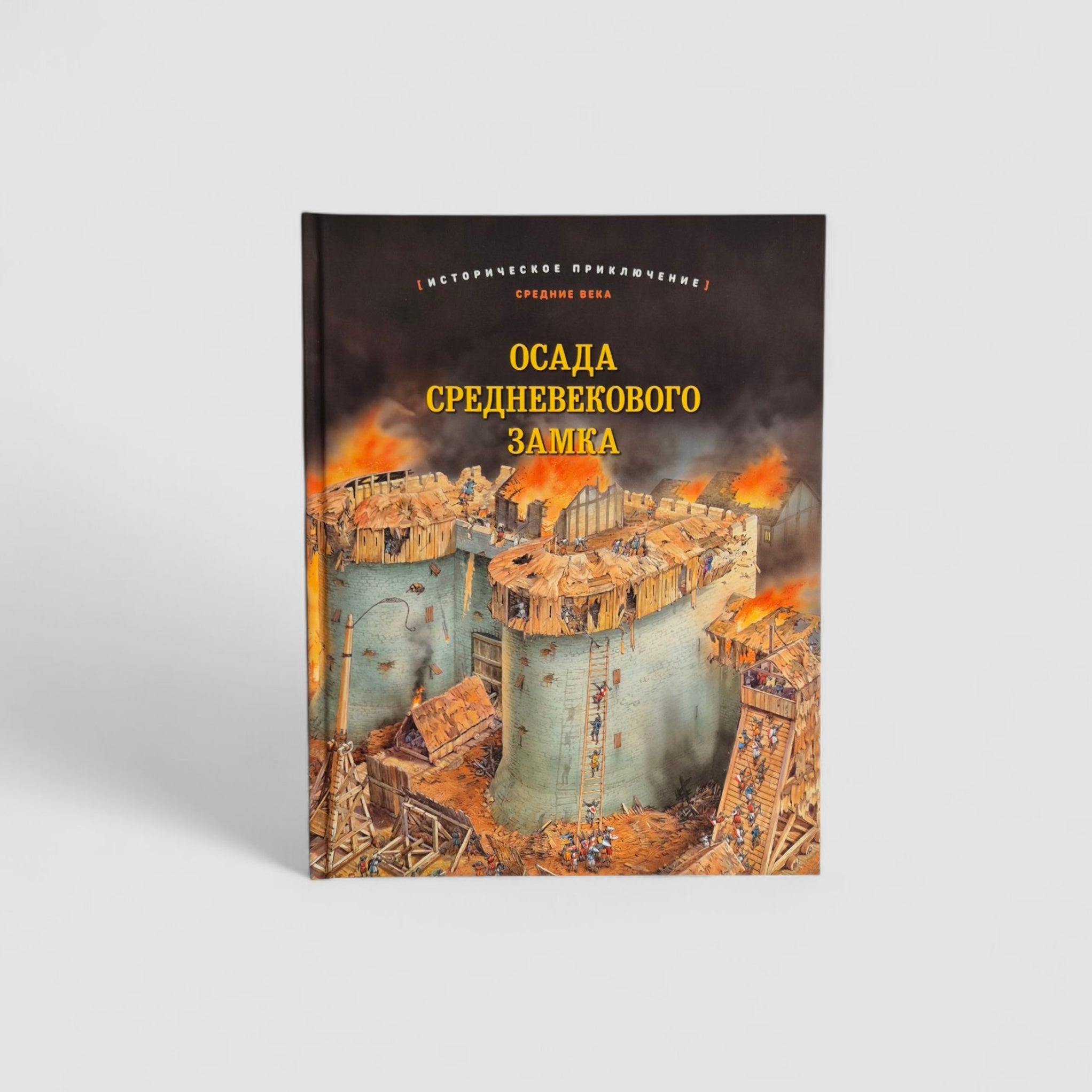 Siege of a medieval castle