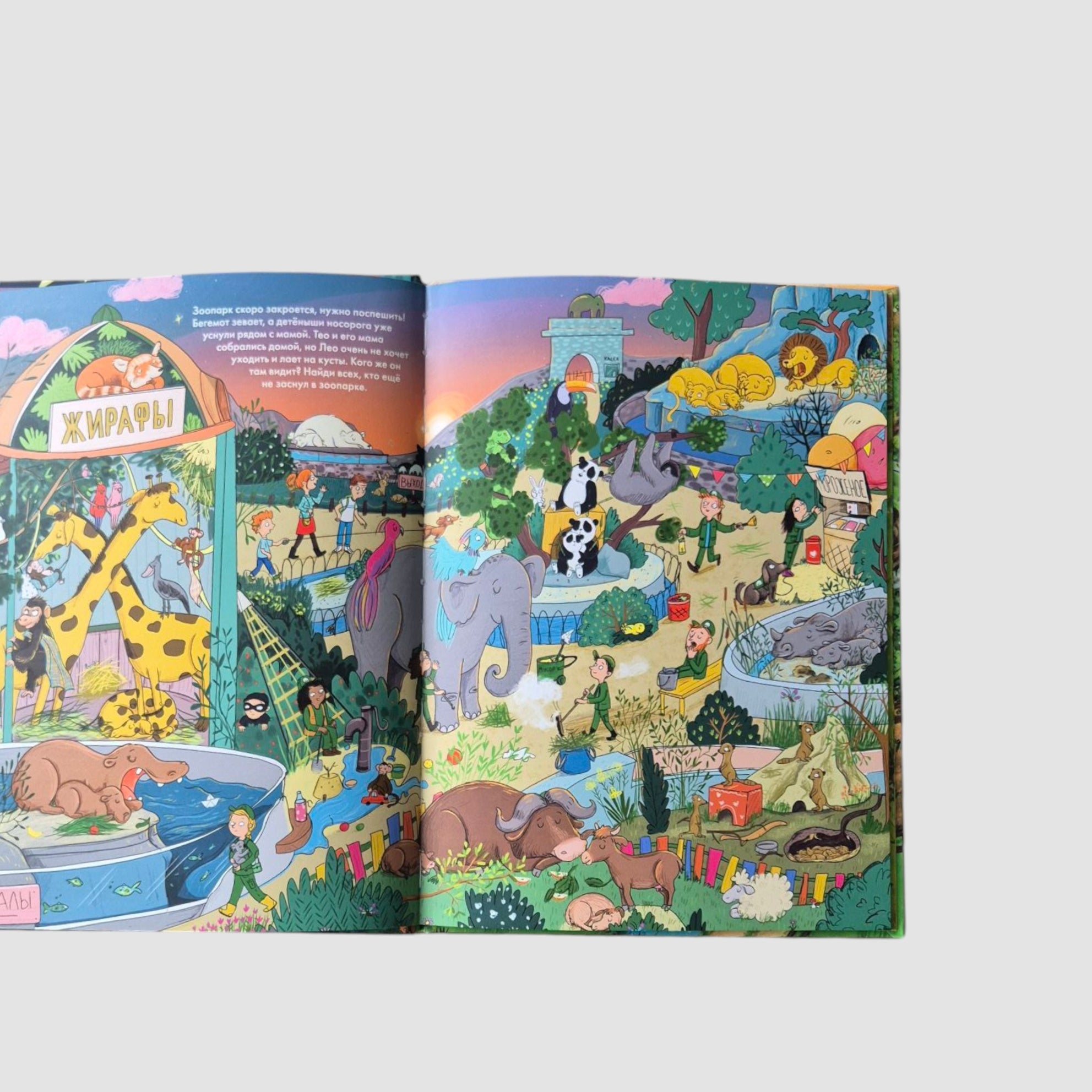 Fun Hide and Seek. Good Night! Wildlife Park 