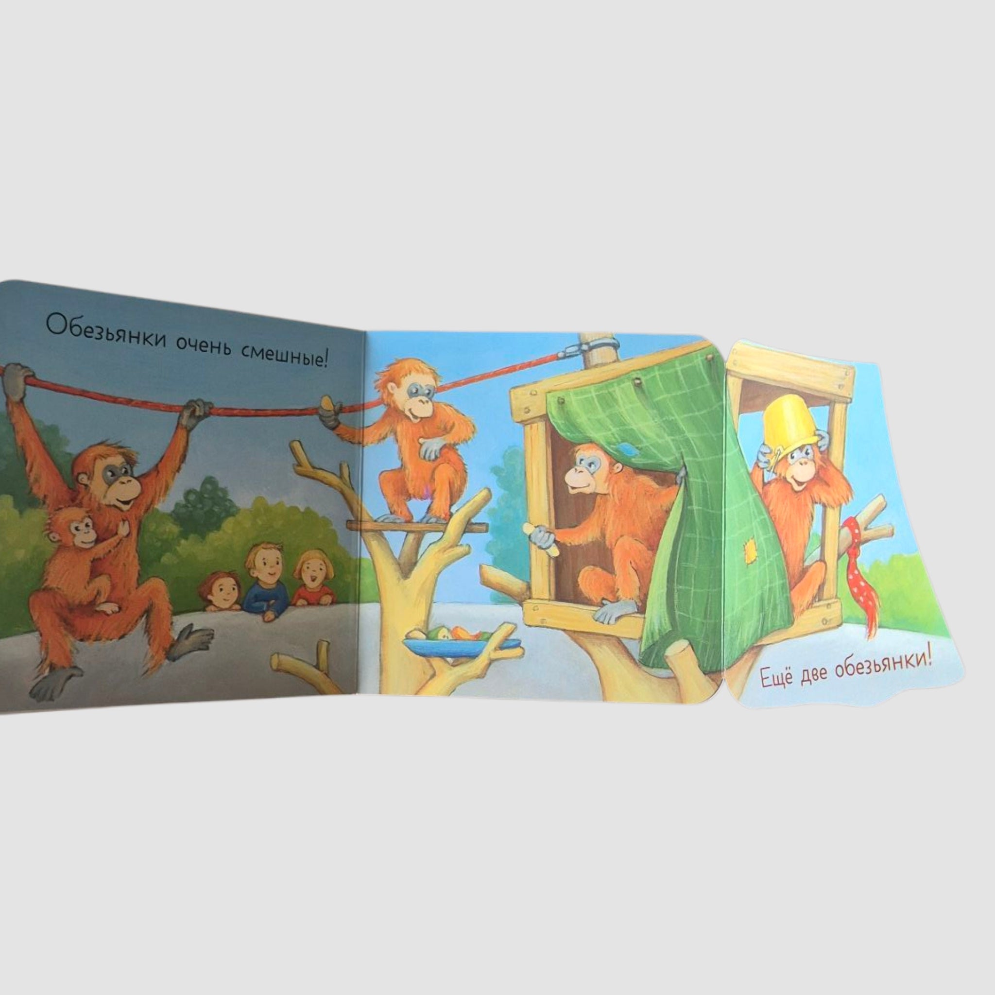 Ку-ку! Кто в зоопарке?