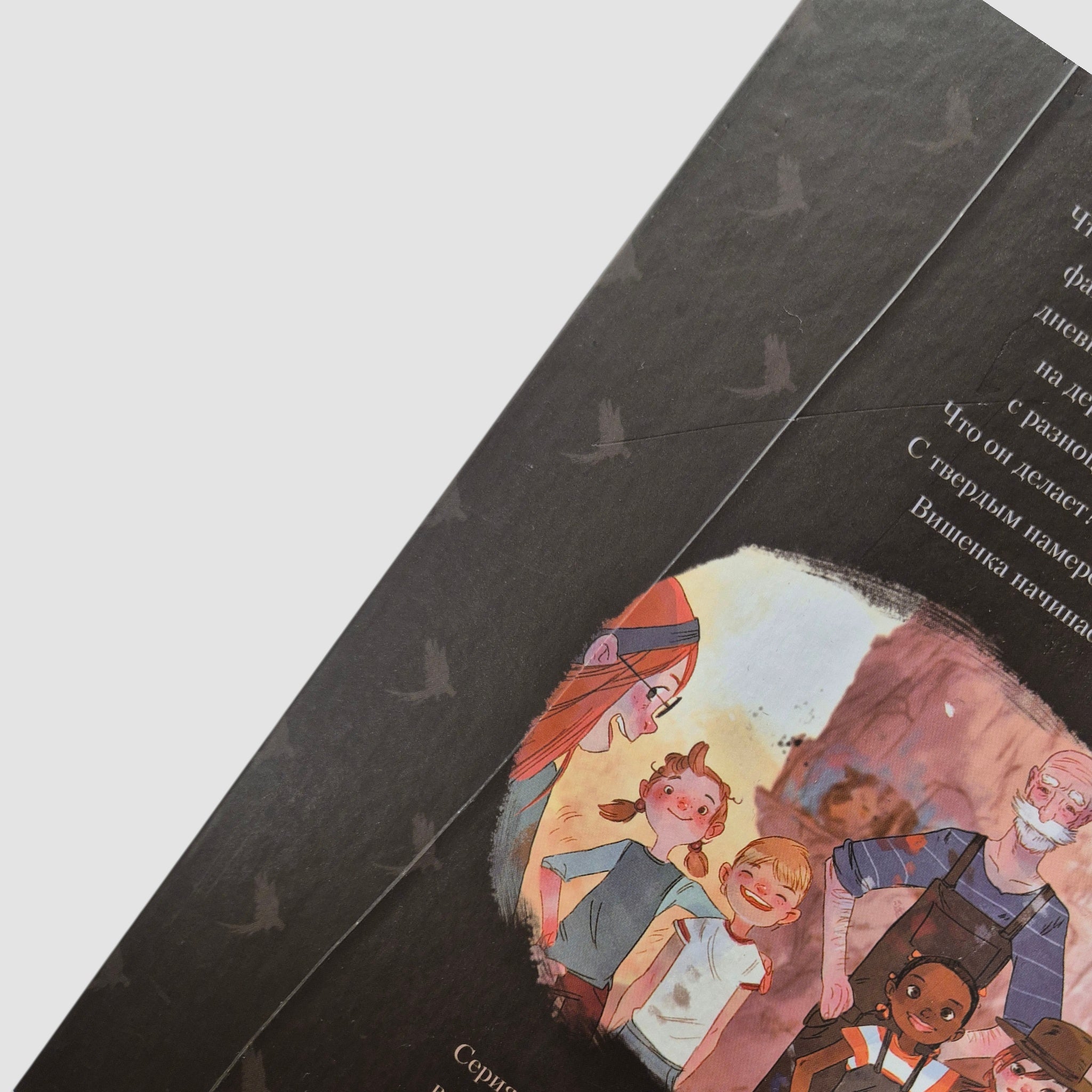 Дневники Вишенки. Том 1. Каменный зоопарк (внешний дефект)