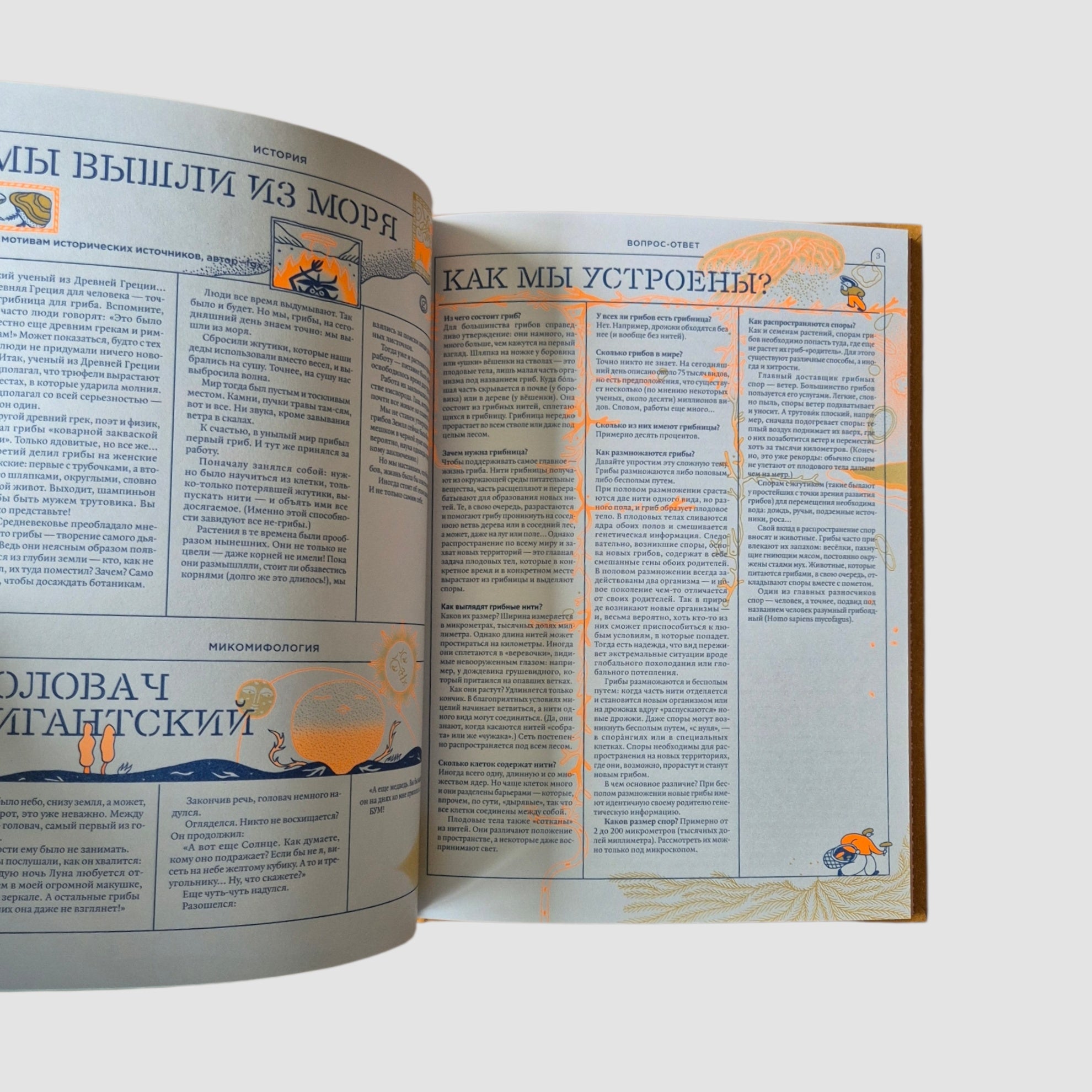 Мико. Полный путеводитель по миру грибов