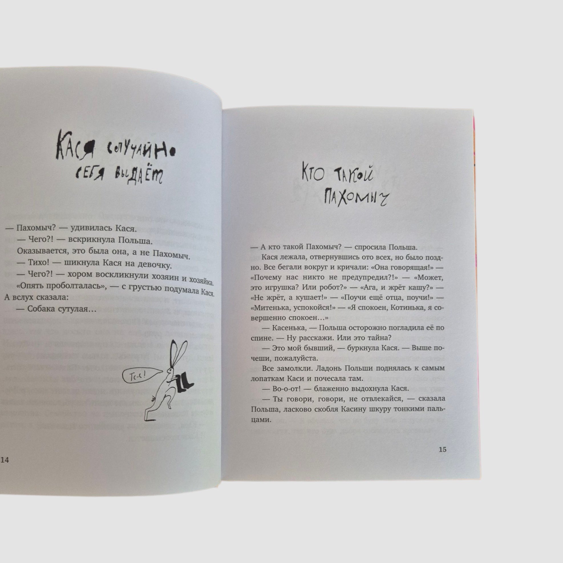 Собака сутулая, или Несколько дней из жизни Кассиопеи Кирпичниковой